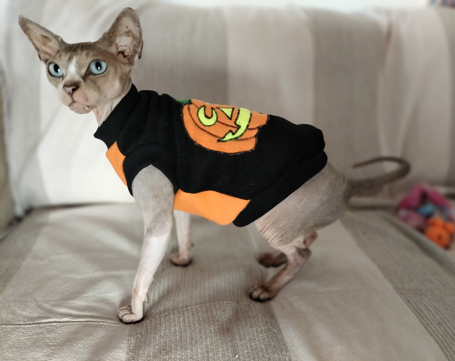 VESTITI A TEMA: PILE HALLOWEEN ZUCCA
