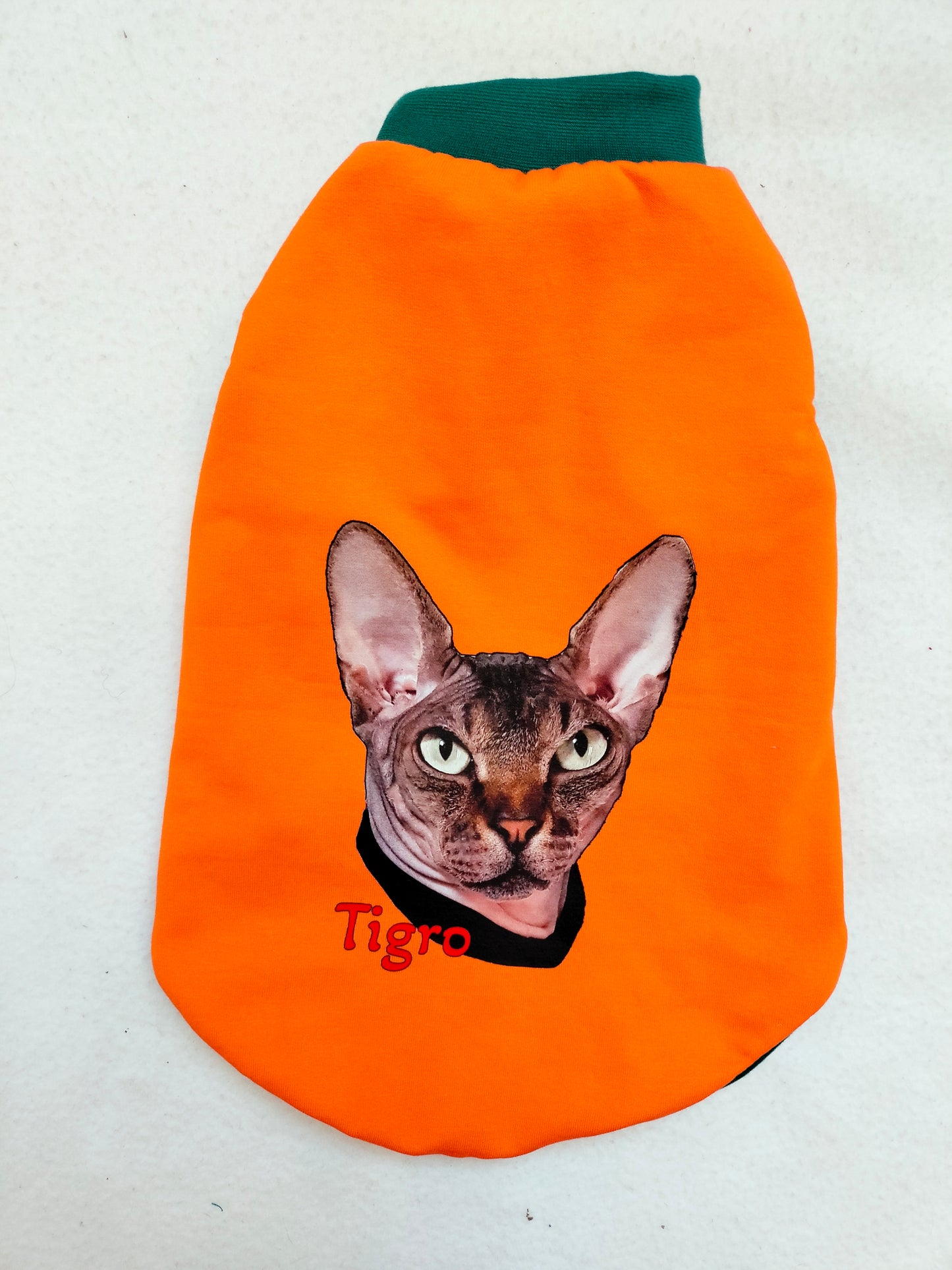 VESTITI A TEMA: RITRATTO
