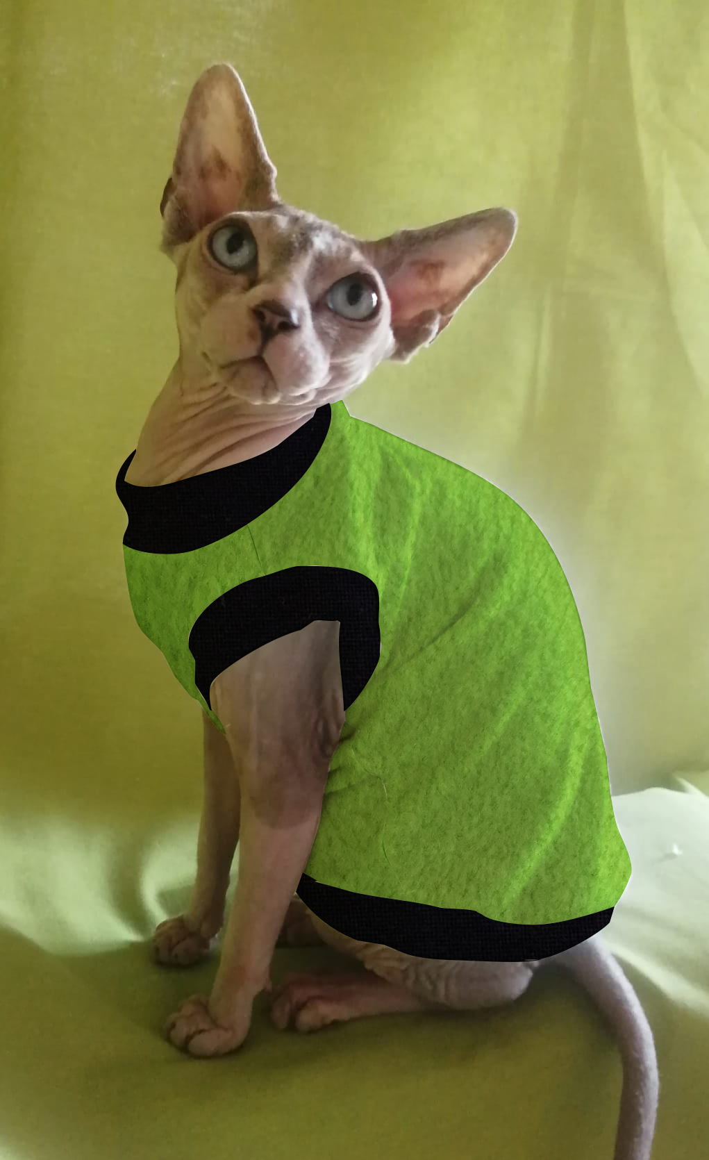 IN PROMOZIONE PILE TINTA UNITA