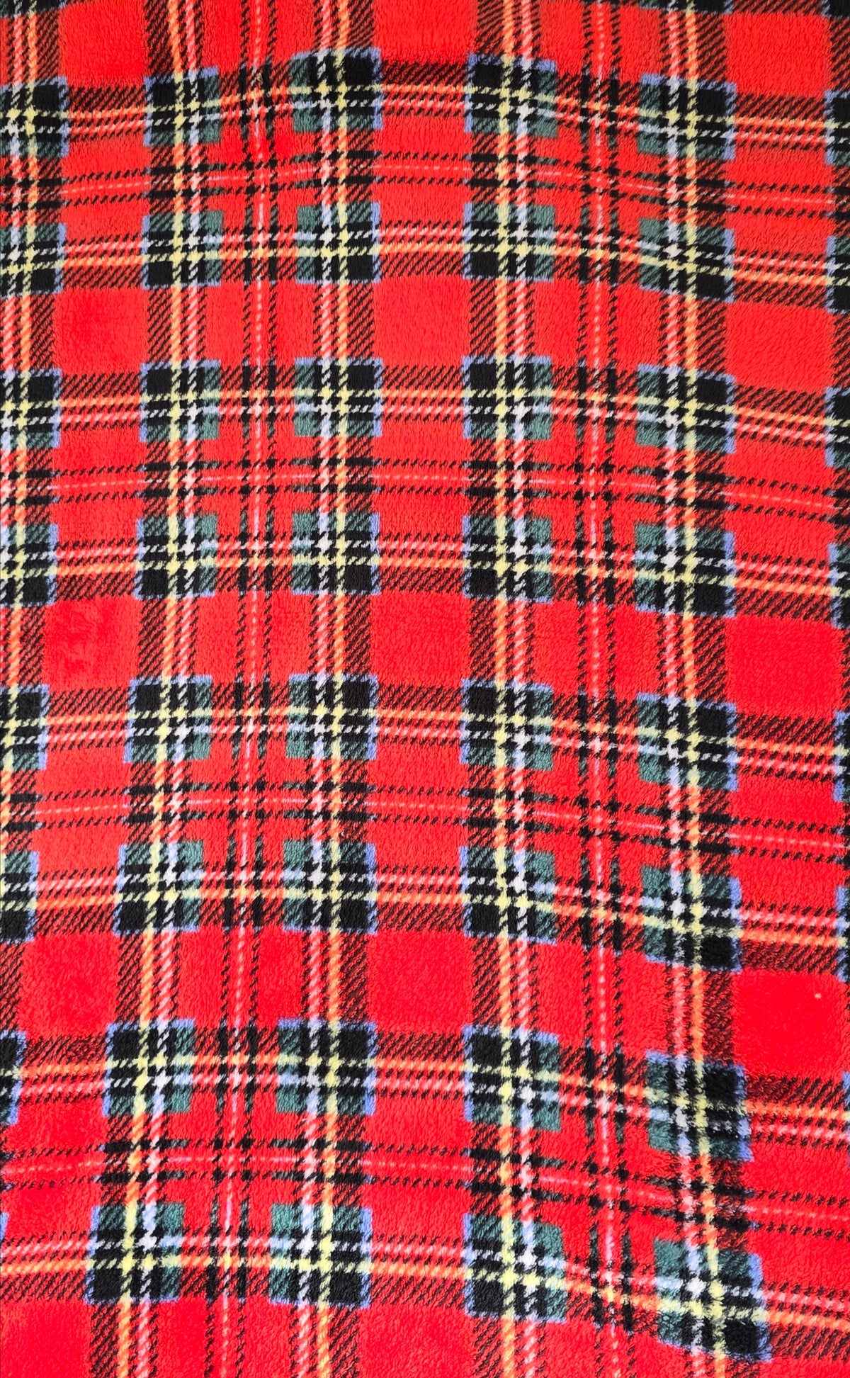 PILE CINIGLIATO SCOZZESE ROSSO BLU (431)