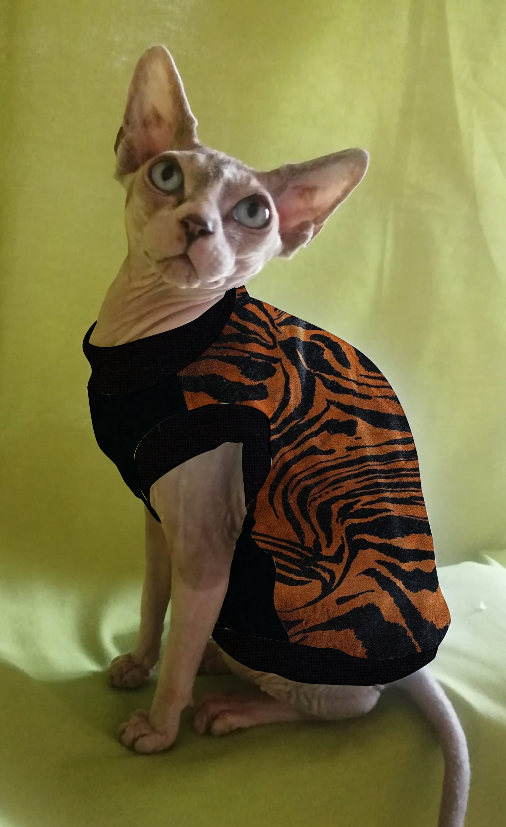 CINIGLIA TIGRE BRONZO