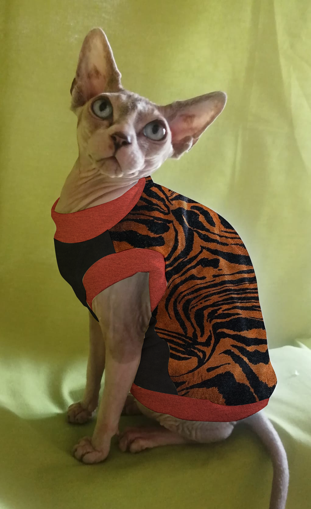 CINIGLIA TIGRE BRONZO