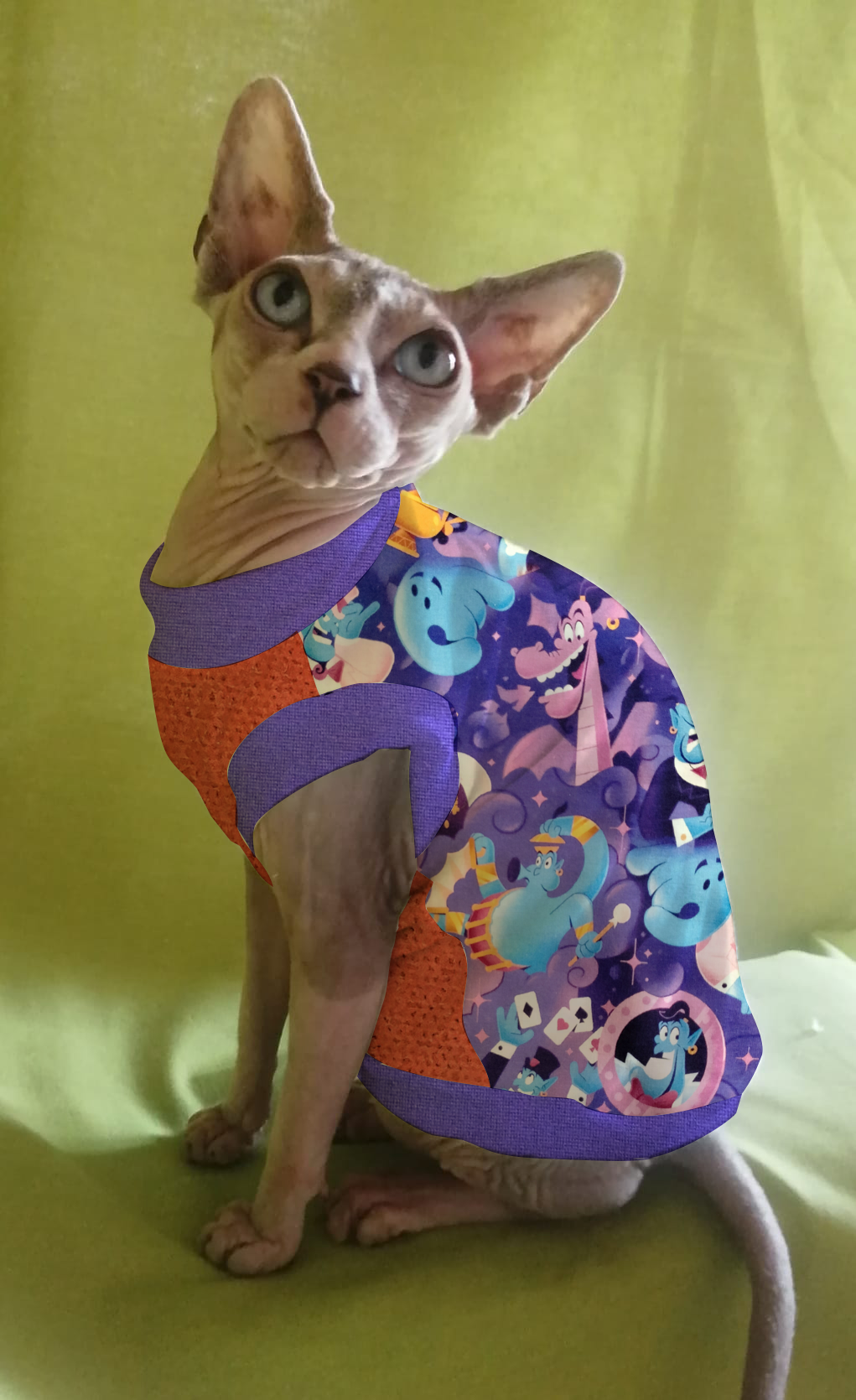 FELPINA ALADDIN (35)