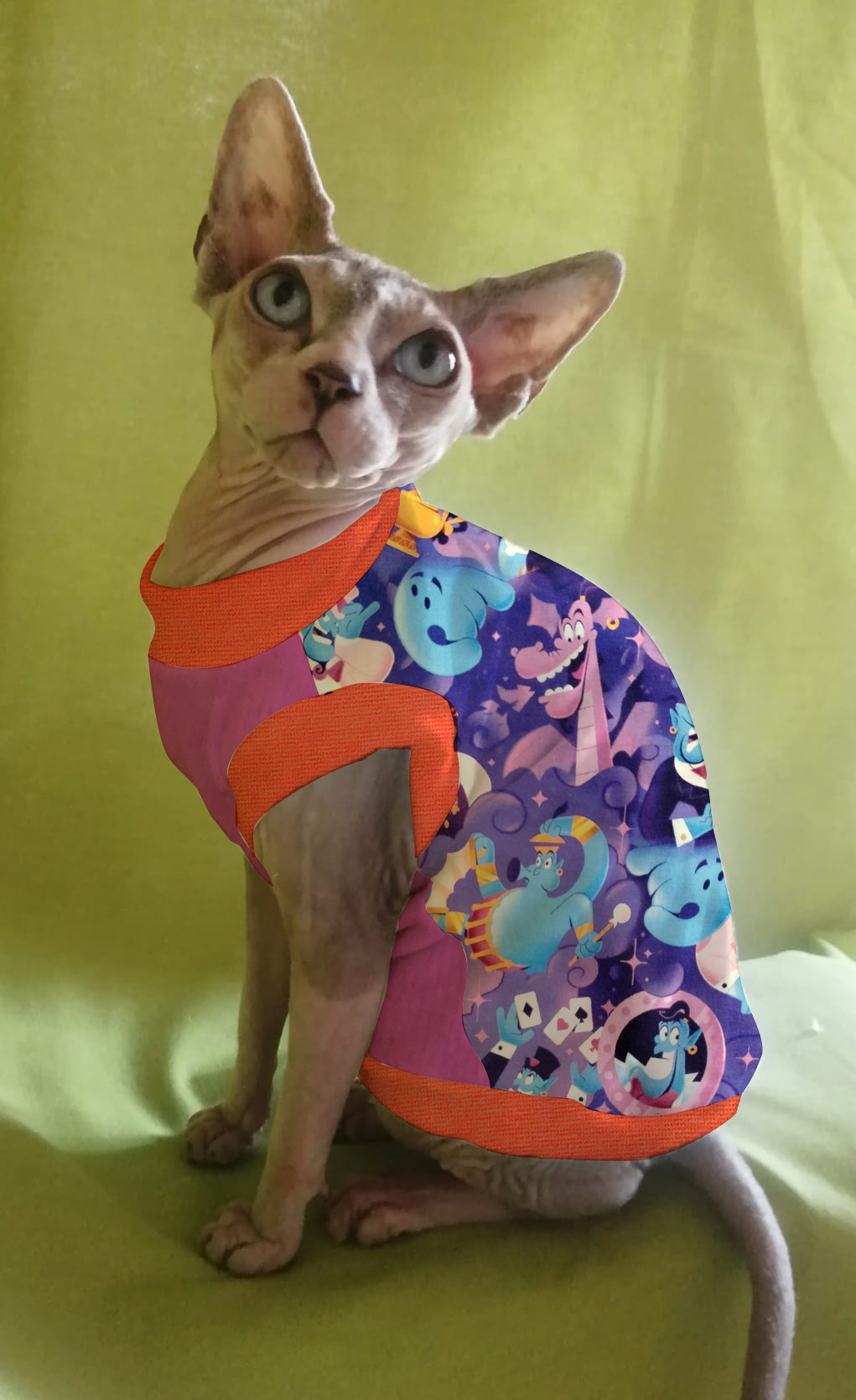 FELPINA ALADDIN (35)