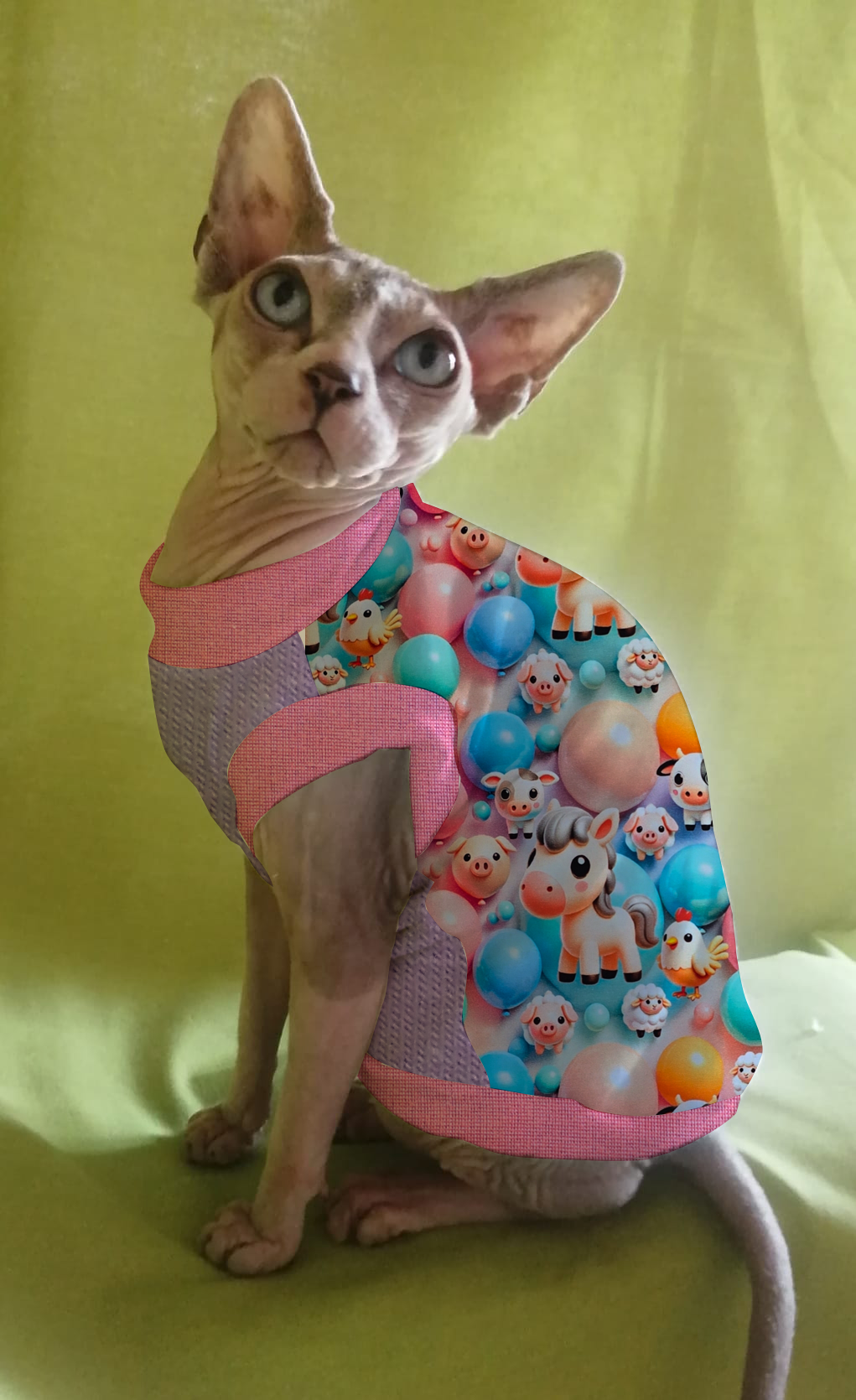 FELPINA BALLOONS ANIMALS (38)