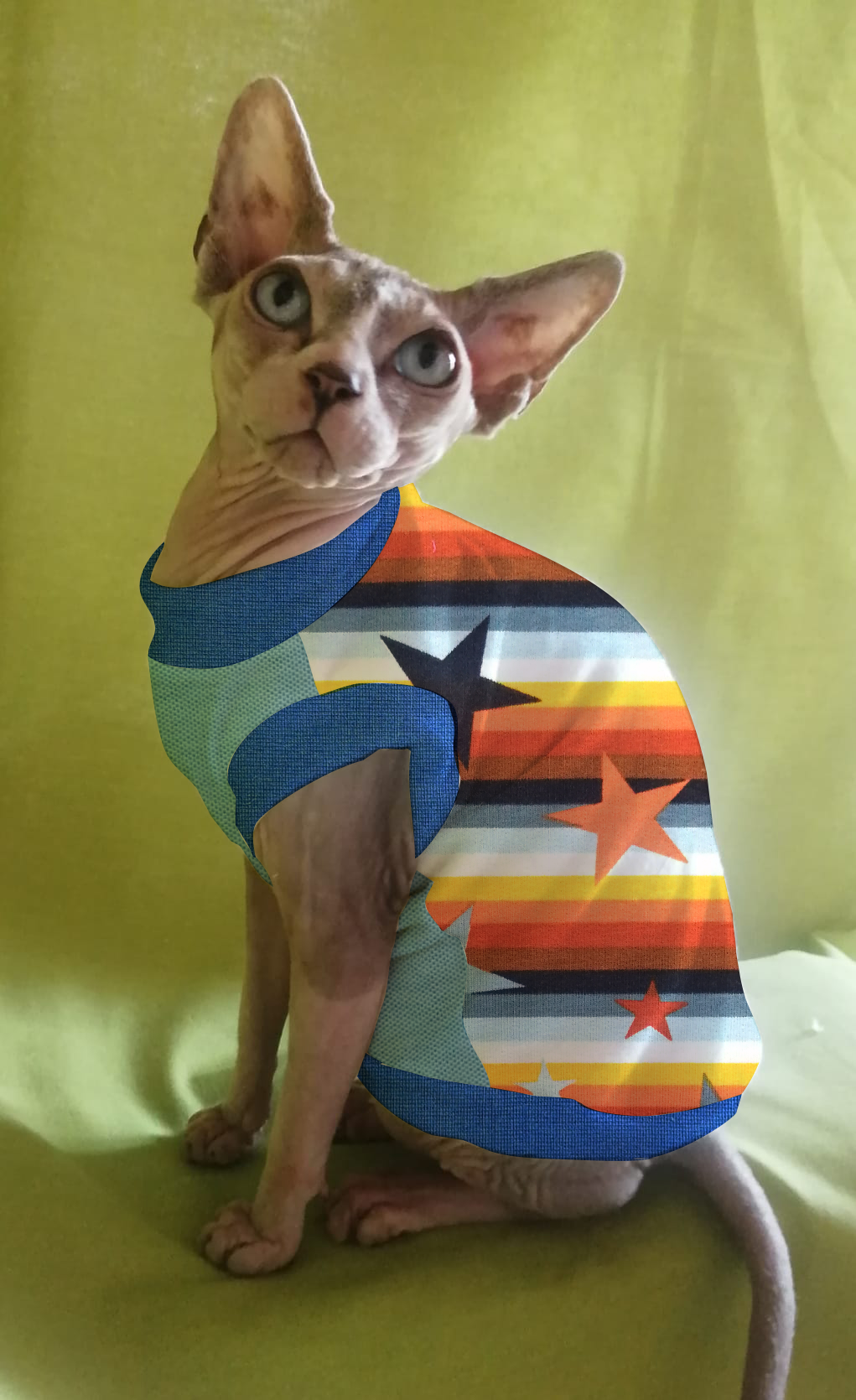 FELPINA ARANCIO/AZZURRO CON STELLE (4)