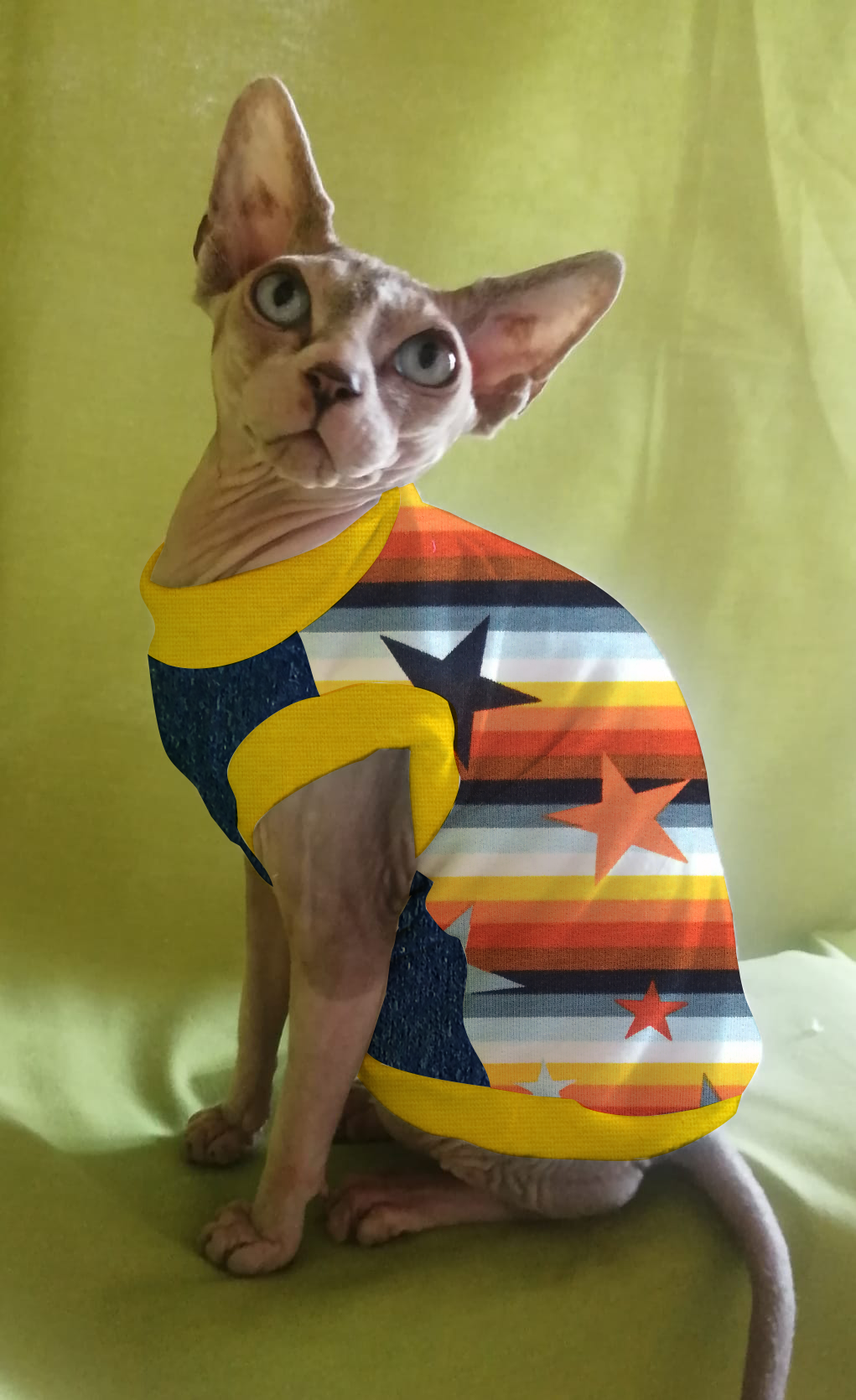 FELPINA ARANCIO/AZZURRO CON STELLE (4)