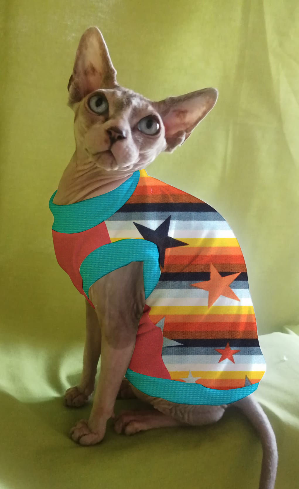 FELPINA ARANCIO/AZZURRO CON STELLE (4)