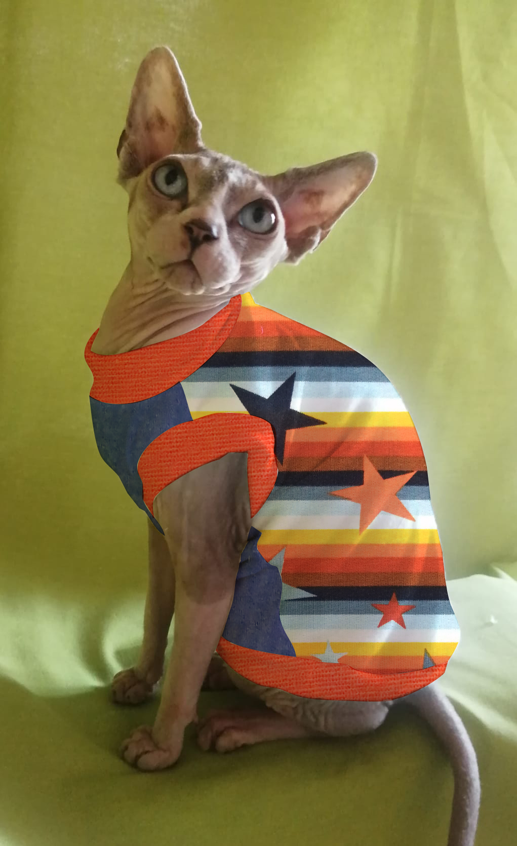 FELPINA ARANCIO/AZZURRO CON STELLE (4)