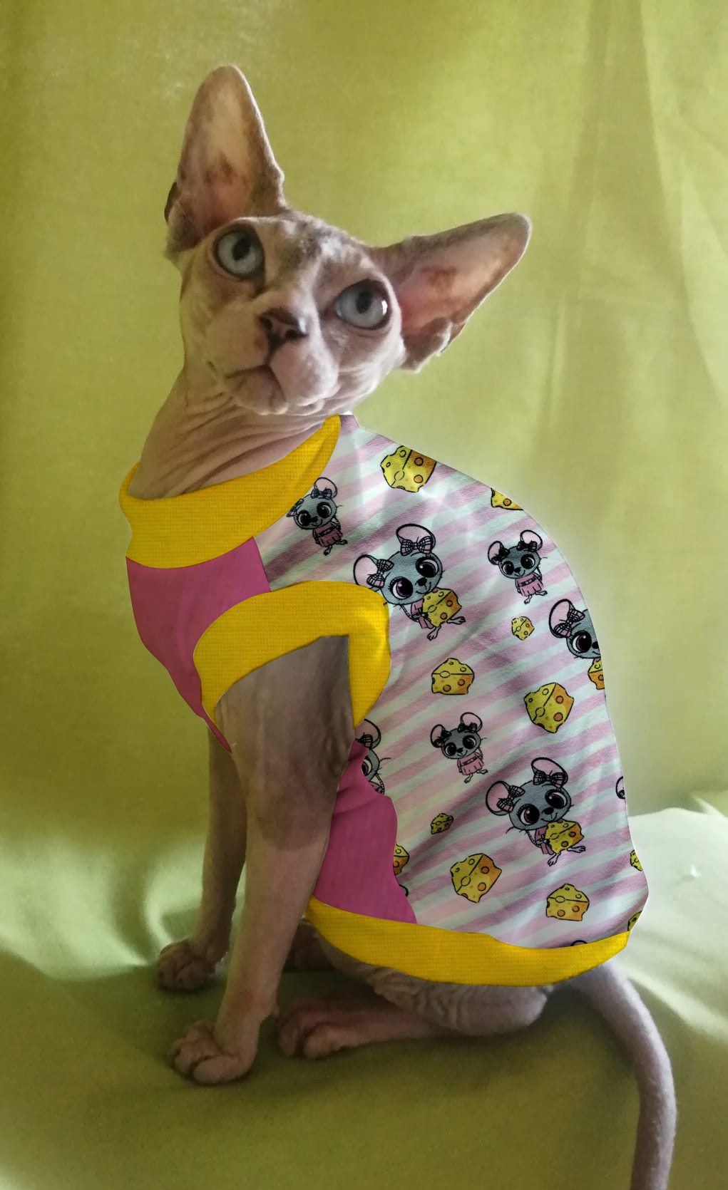 FELPINA TOPOLINO FORMAGGIO RIGHE ROSA (9)