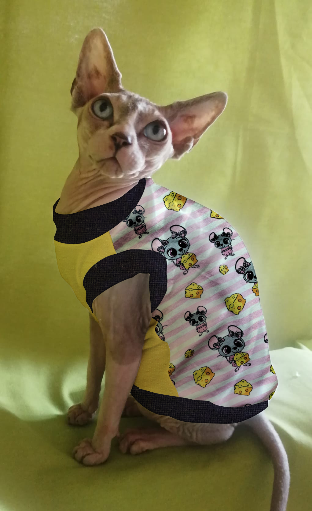 FELPINA TOPOLINO FORMAGGIO RIGHE ROSA (9)
