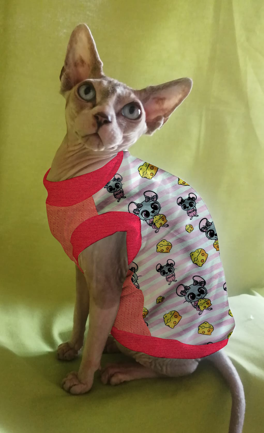 FELPINA TOPOLINO FORMAGGIO RIGHE ROSA (9)