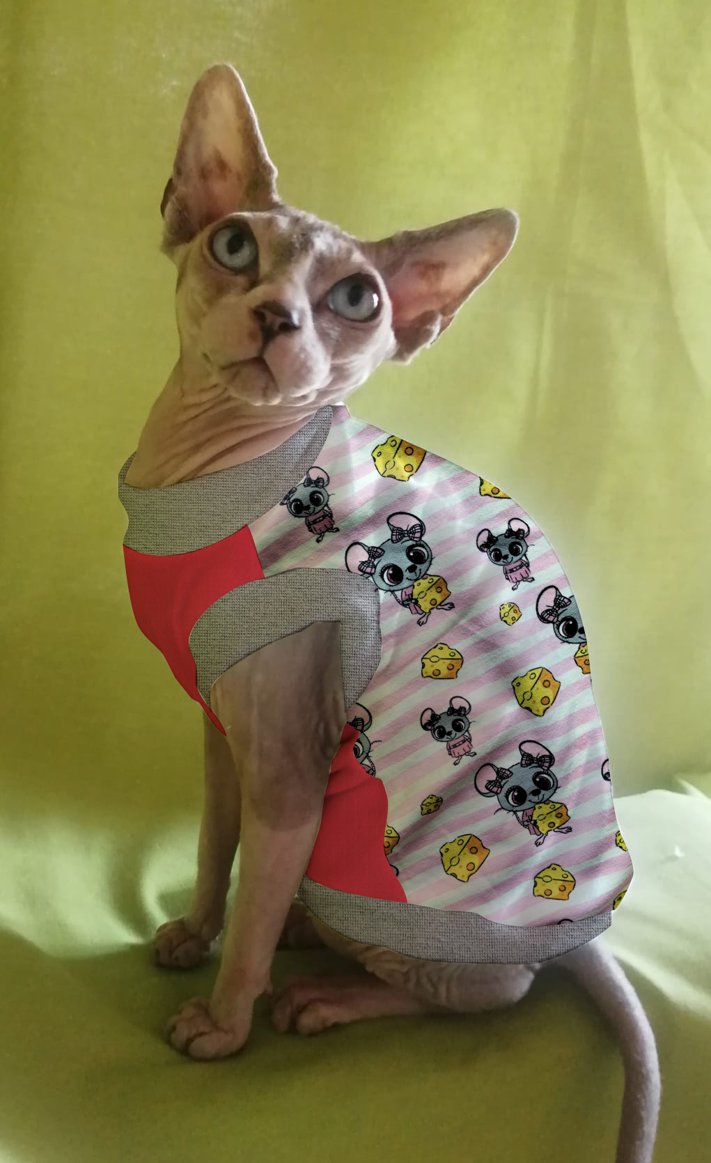 FELPINA TOPOLINO FORMAGGIO RIGHE ROSA (9)