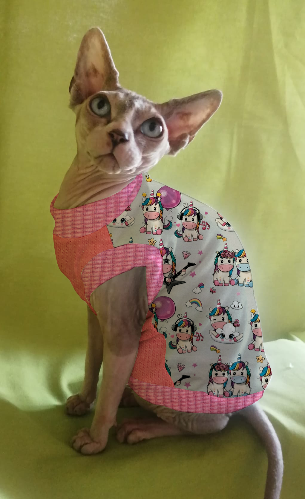 FELPINA UNICORNI BABY (8)