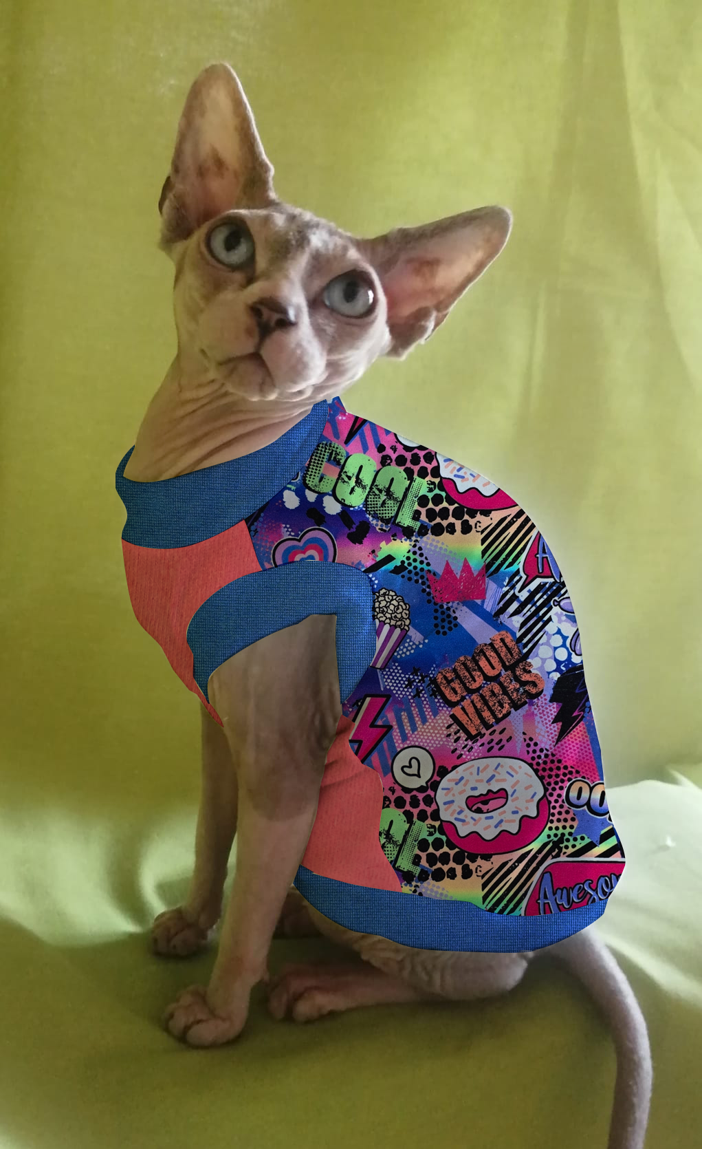 FELPINA CIAMBELLA (42)