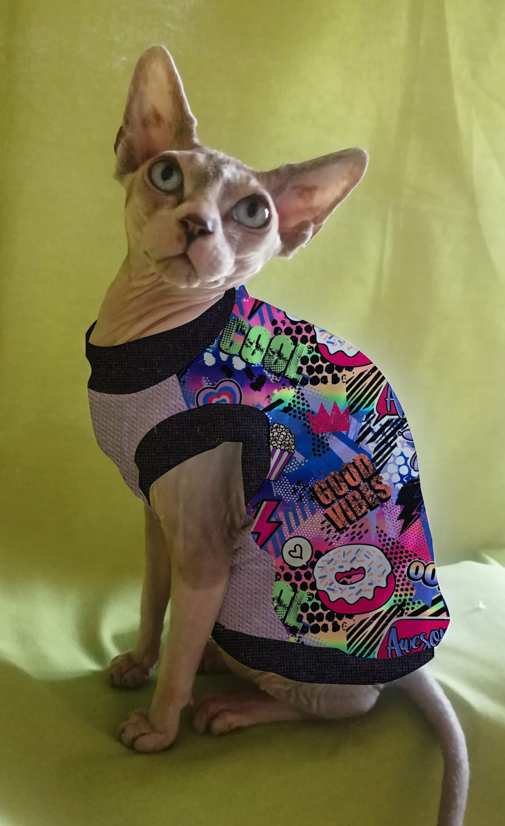 FELPINA CIAMBELLA (42)