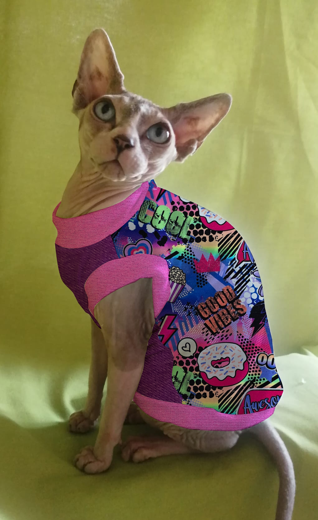 FELPINA CIAMBELLA (42)