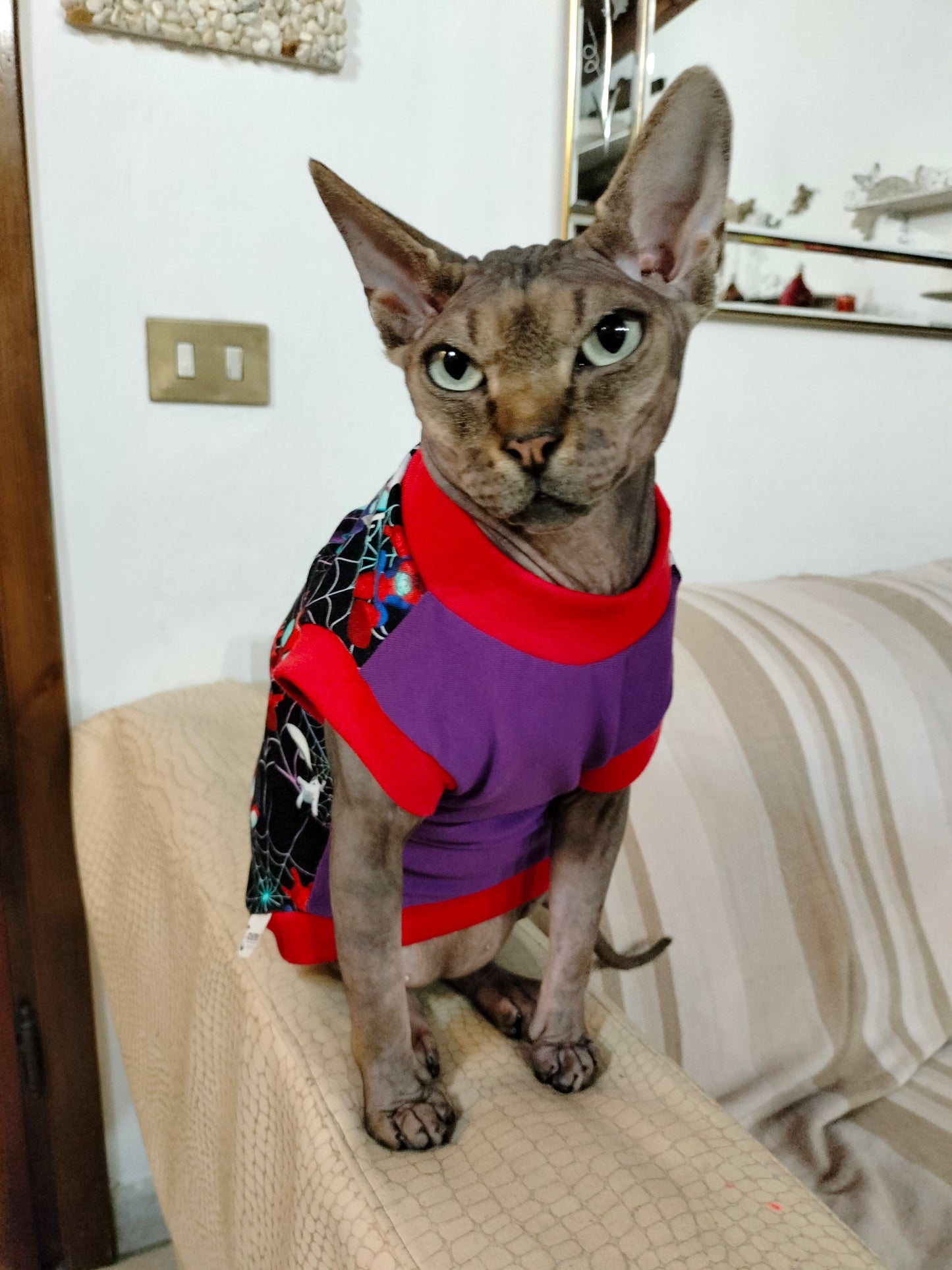 FELPINA UOMO RAGNO BABY (30)