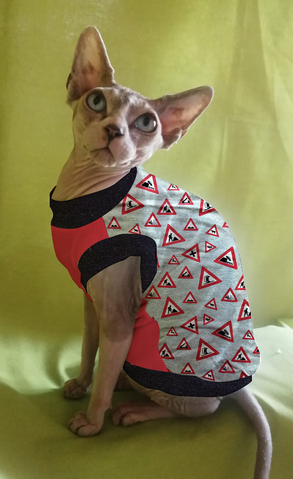 FELPINA CARTELLI STRADALI (7)