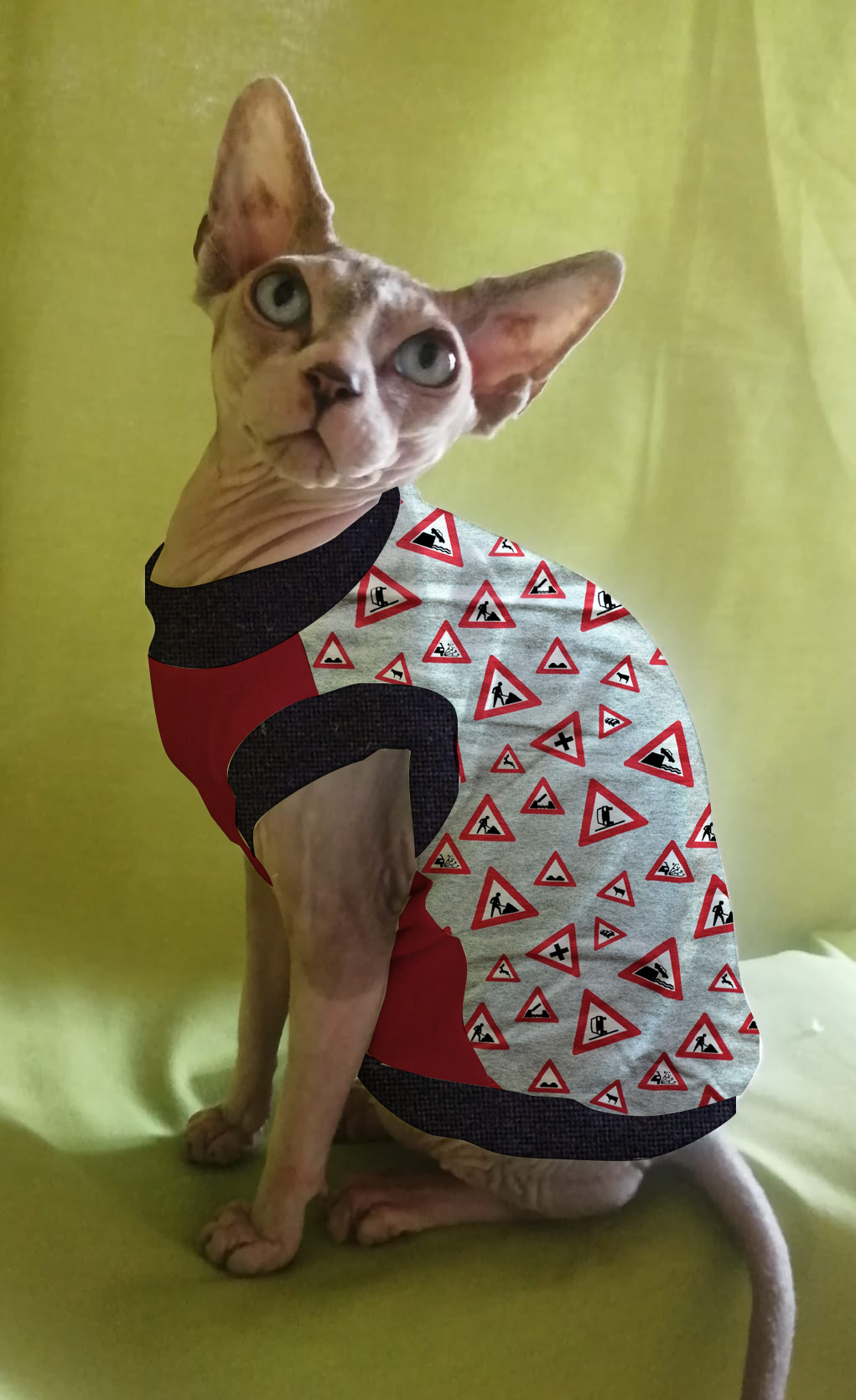 FELPINA CARTELLI STRADALI (7)