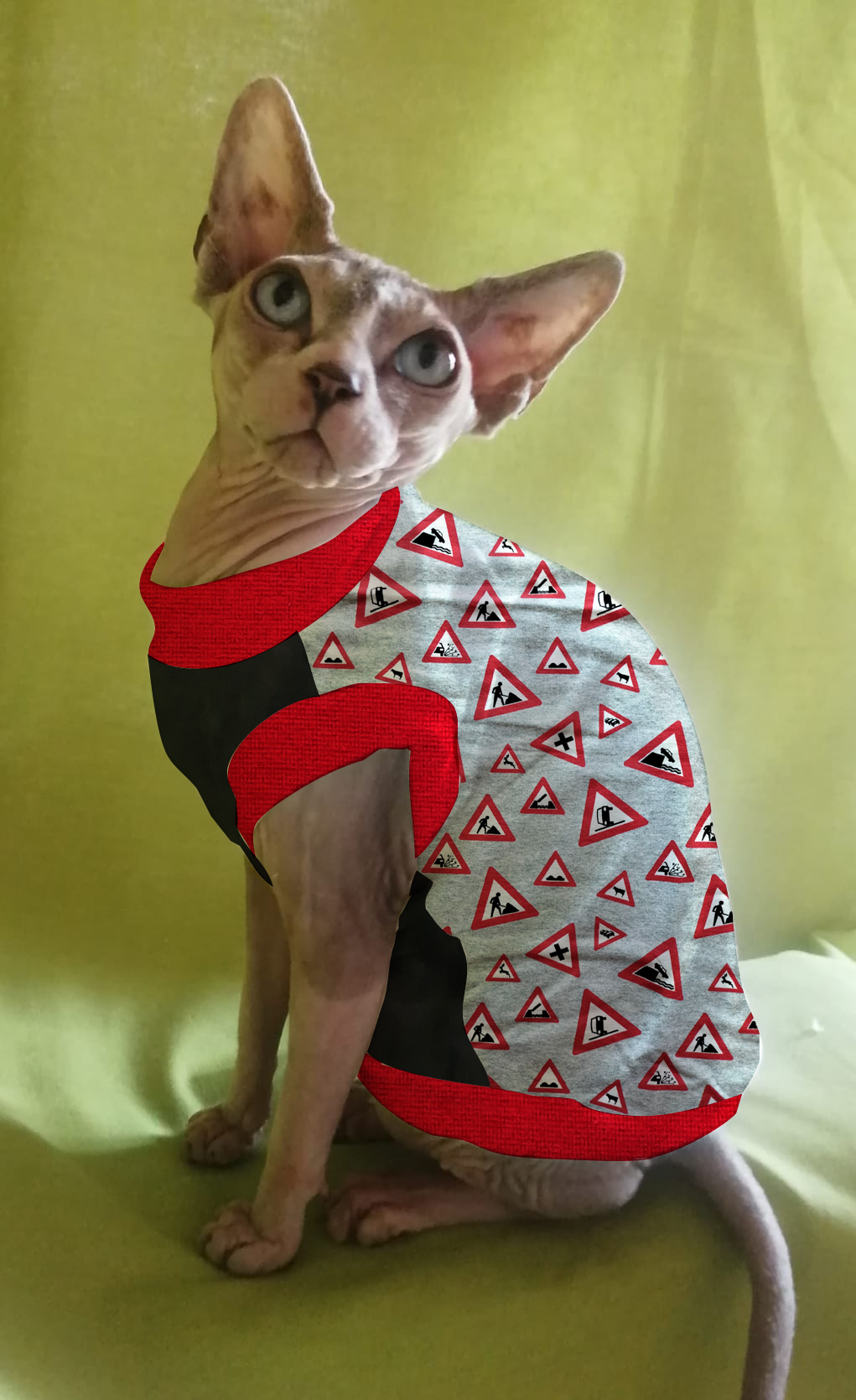 FELPINA CARTELLI STRADALI (7)