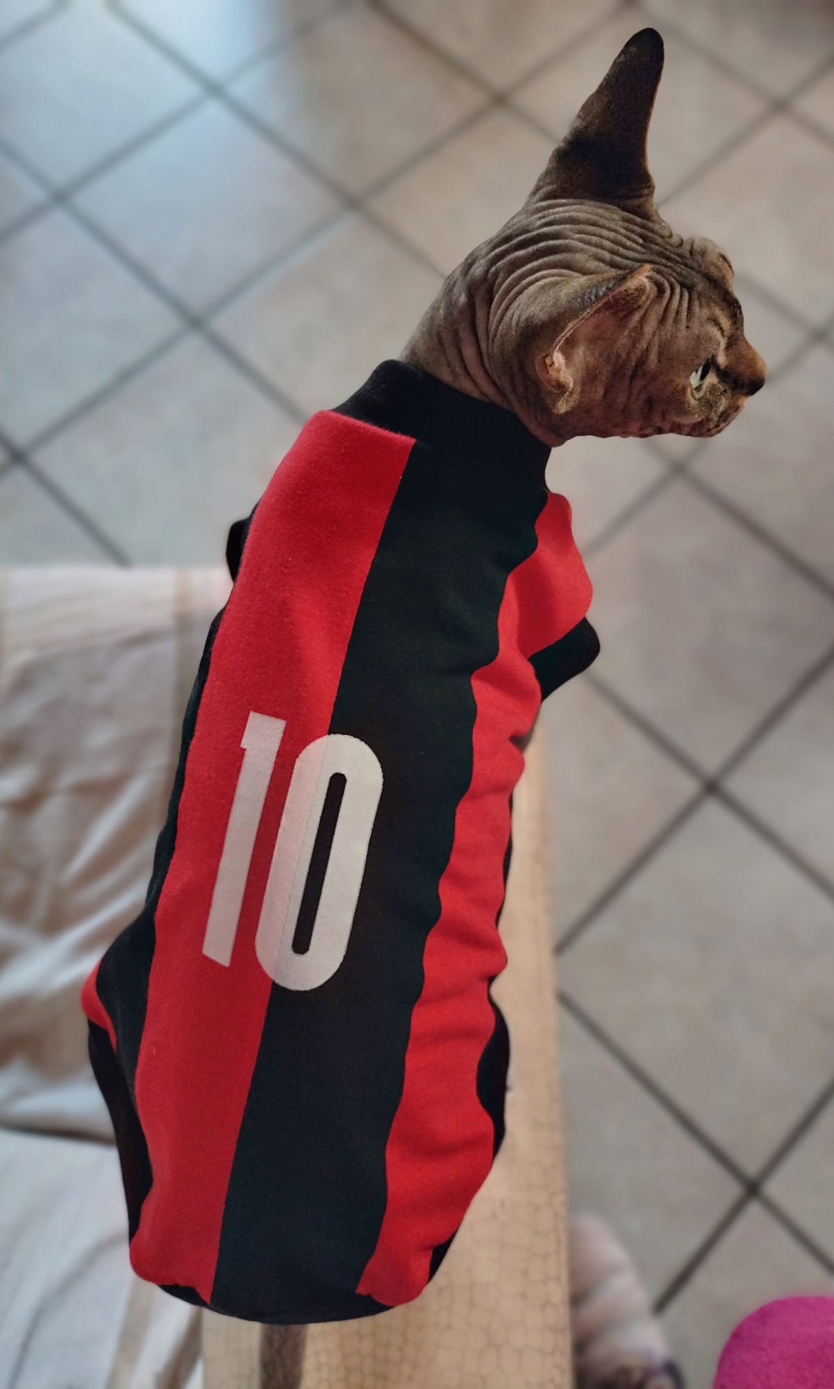 VESTITI A TEMA: JERSEY LA SQUADRA DEL CUORE