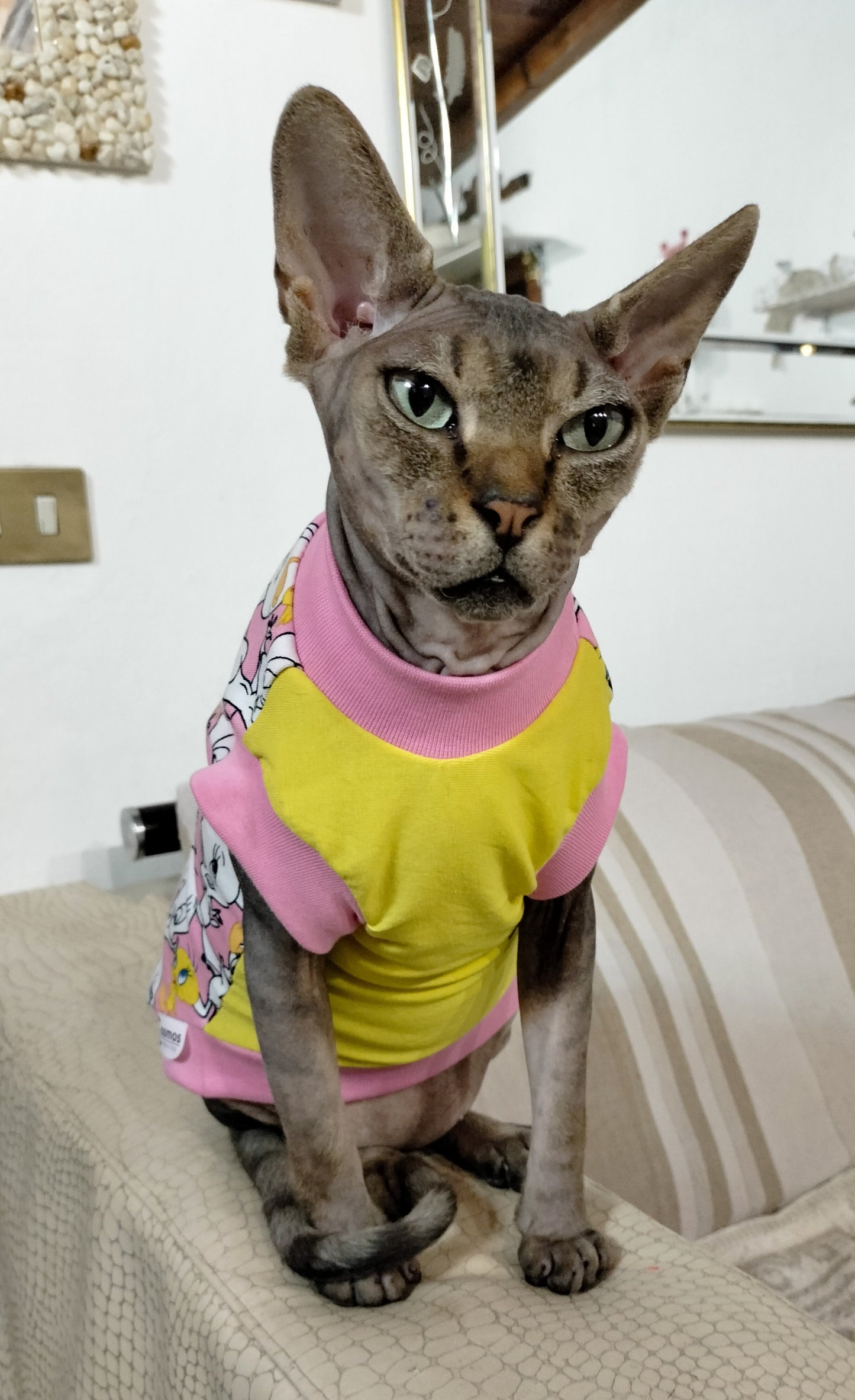 JERSEY in cotone TWEETY (142)