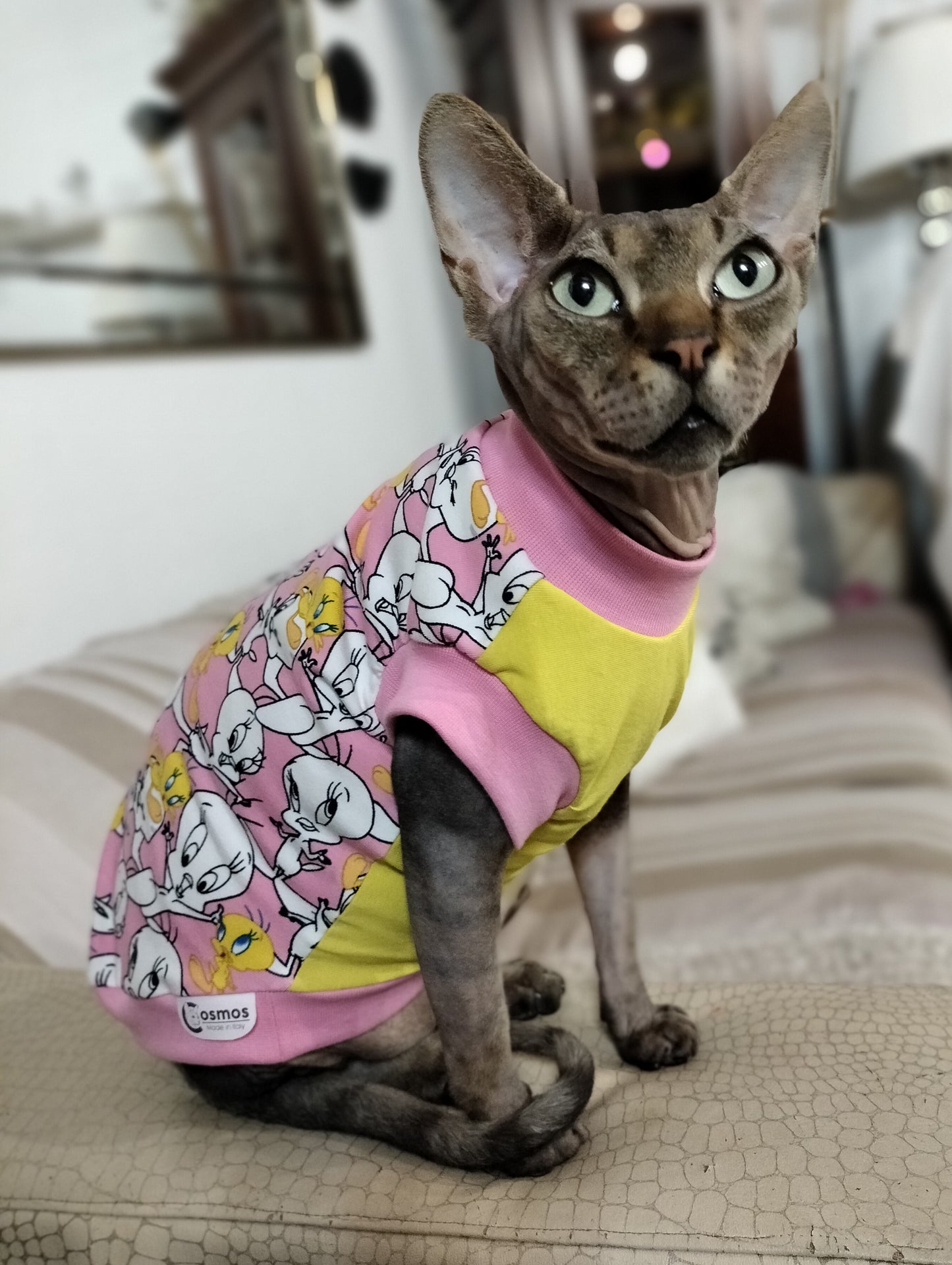 JERSEY in cotone TWEETY (142)