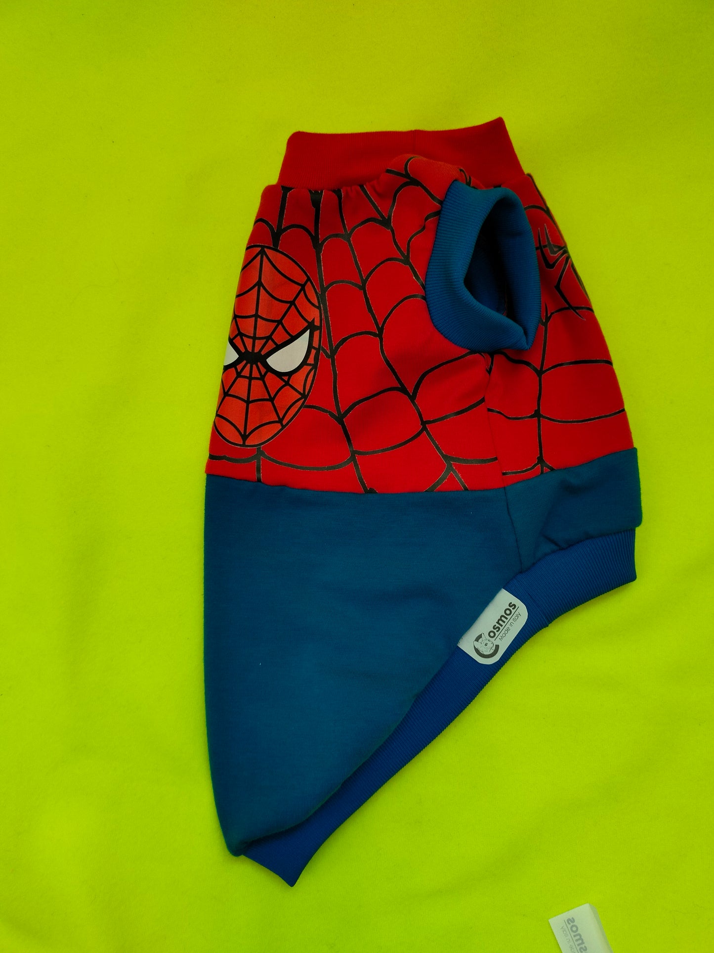 VESTITI A TEMA: JERSEY SPIDERCAT