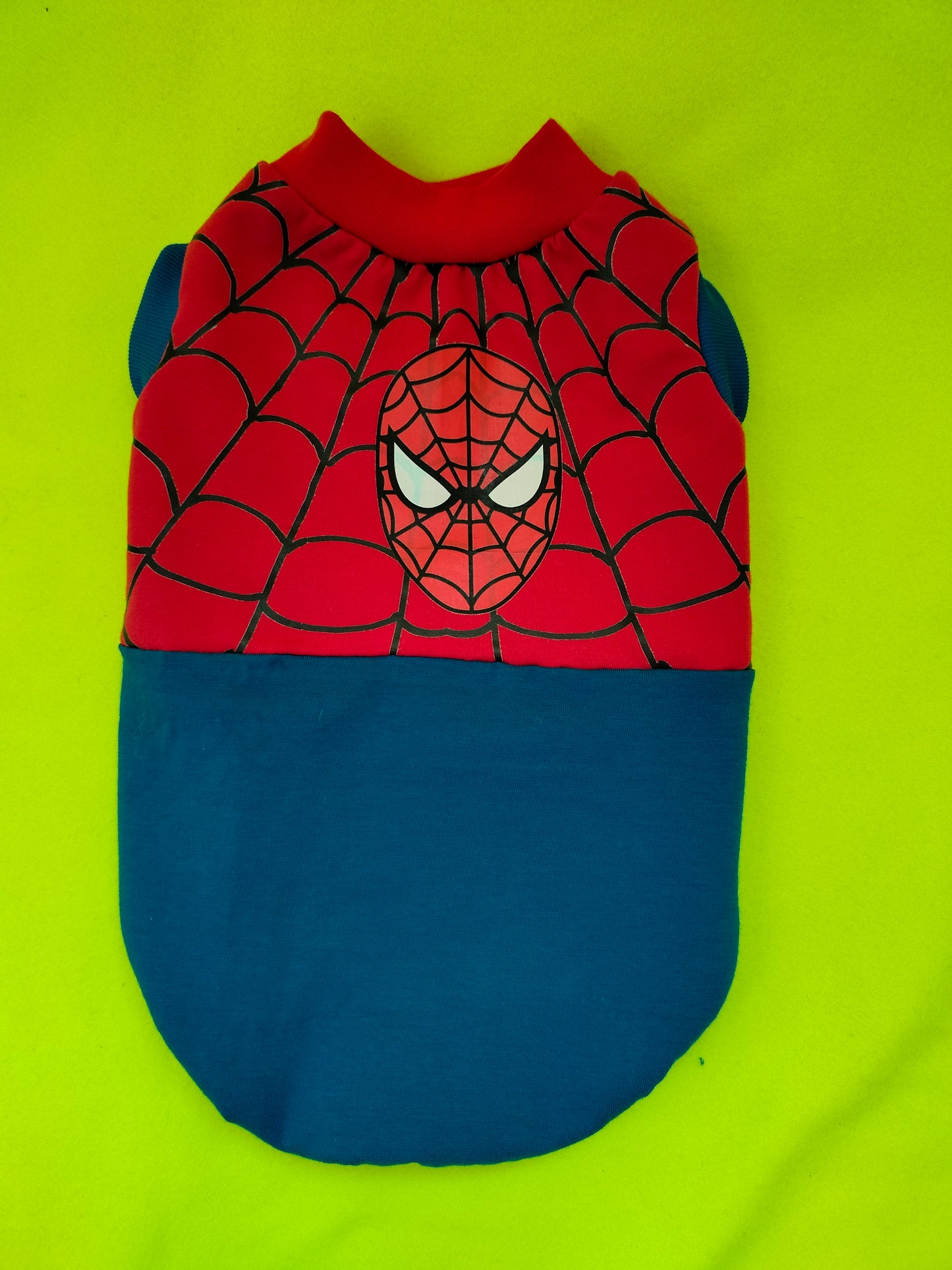 VESTITI A TEMA: JERSEY SPIDERCAT