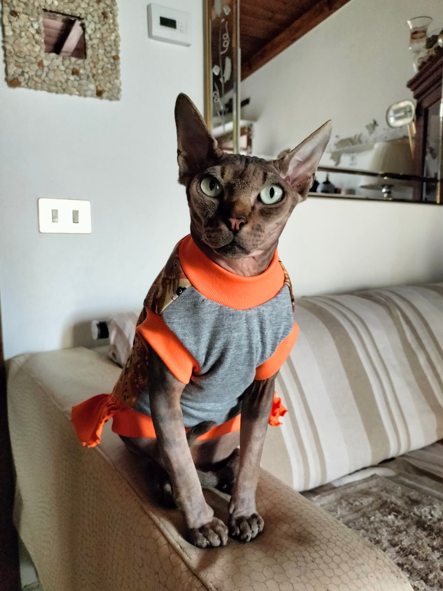 JERSEY in cotone GATTI CARAMELLO (138)