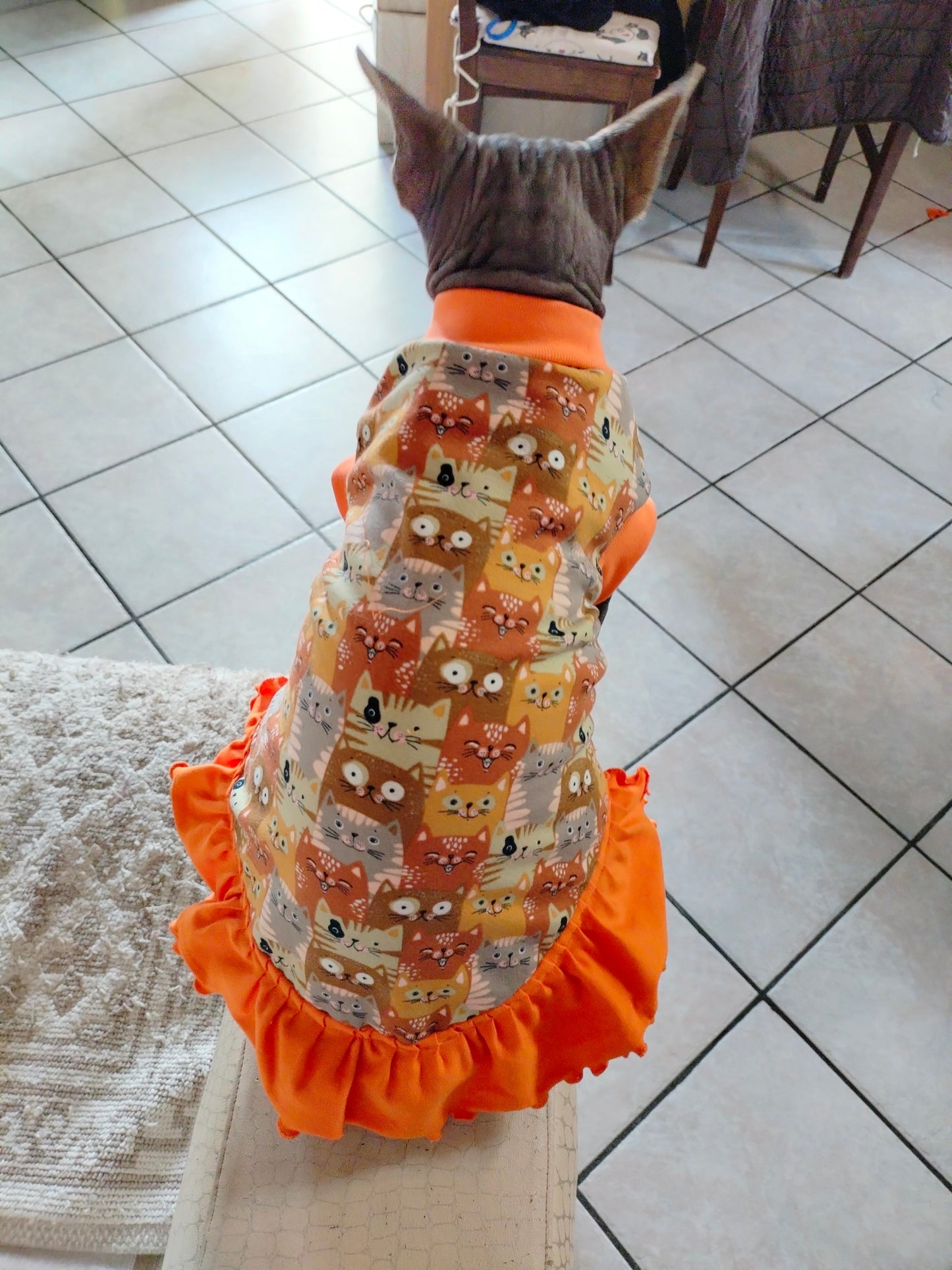 JERSEY in cotone GATTI CARAMELLO (138)