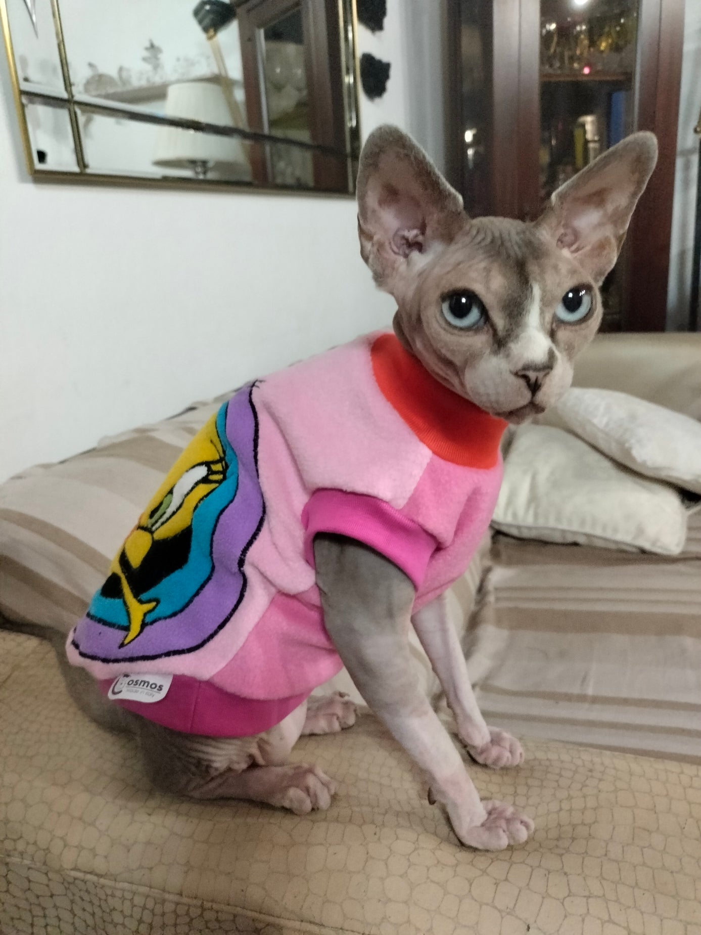 VESTITI A TEMA: PILE TWEETY LOONEY TUNES