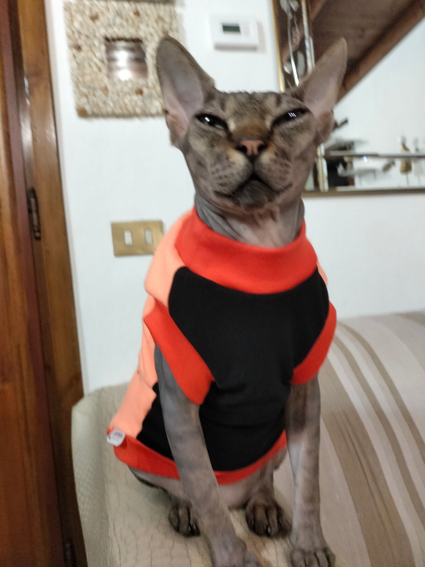 VESTITI A TEMA: PILE GATTO SILVESTRO
