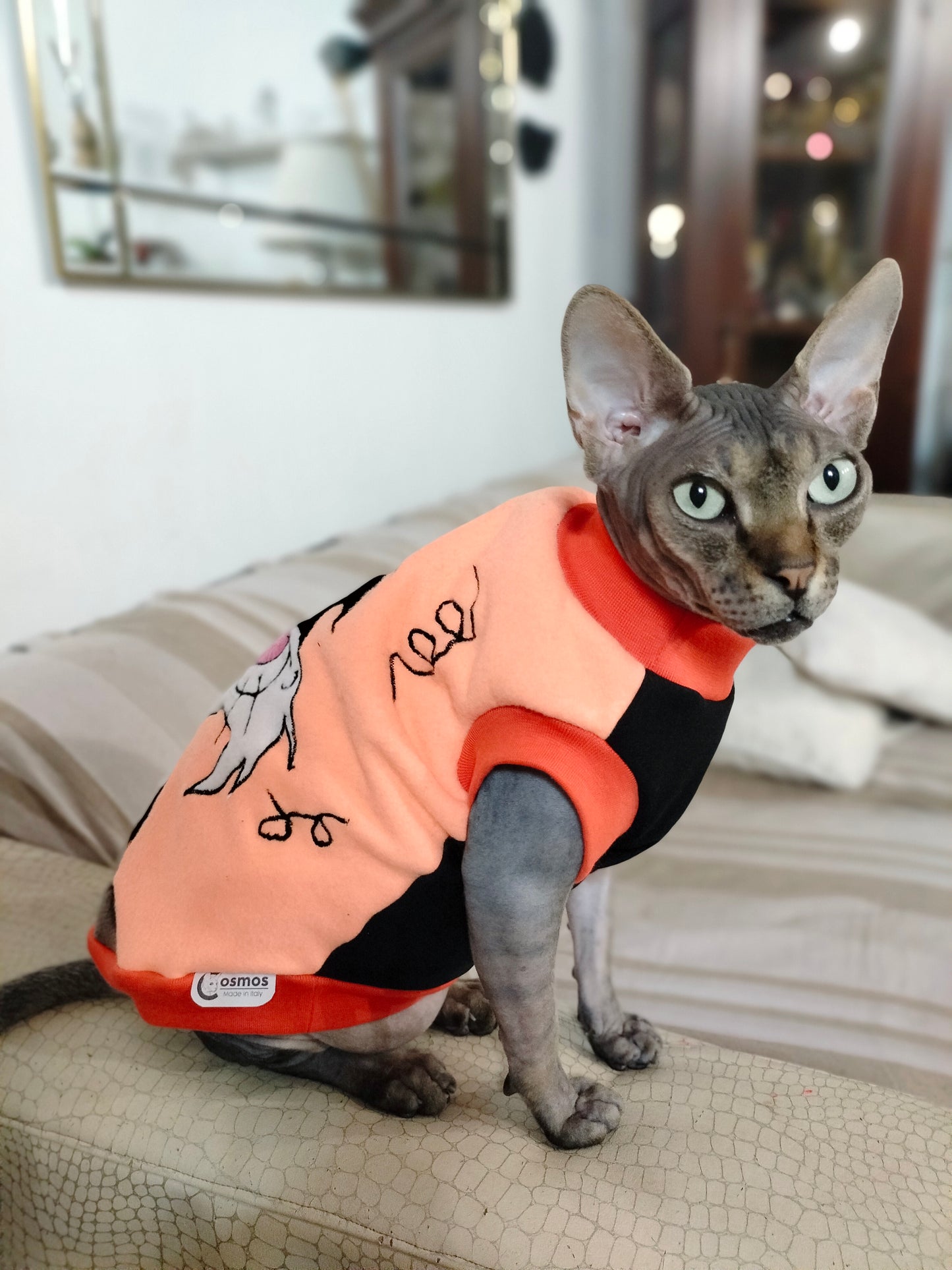VESTITI A TEMA: PILE GATTO SILVESTRO