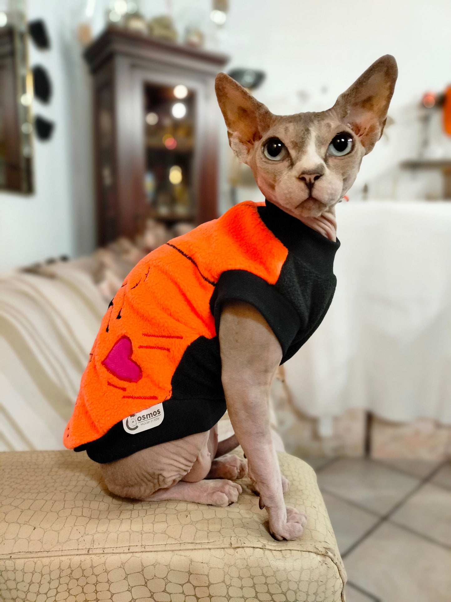 VESTITI A TEMA: PILE HALLOWEEN RAGNETTI INNAMORATI