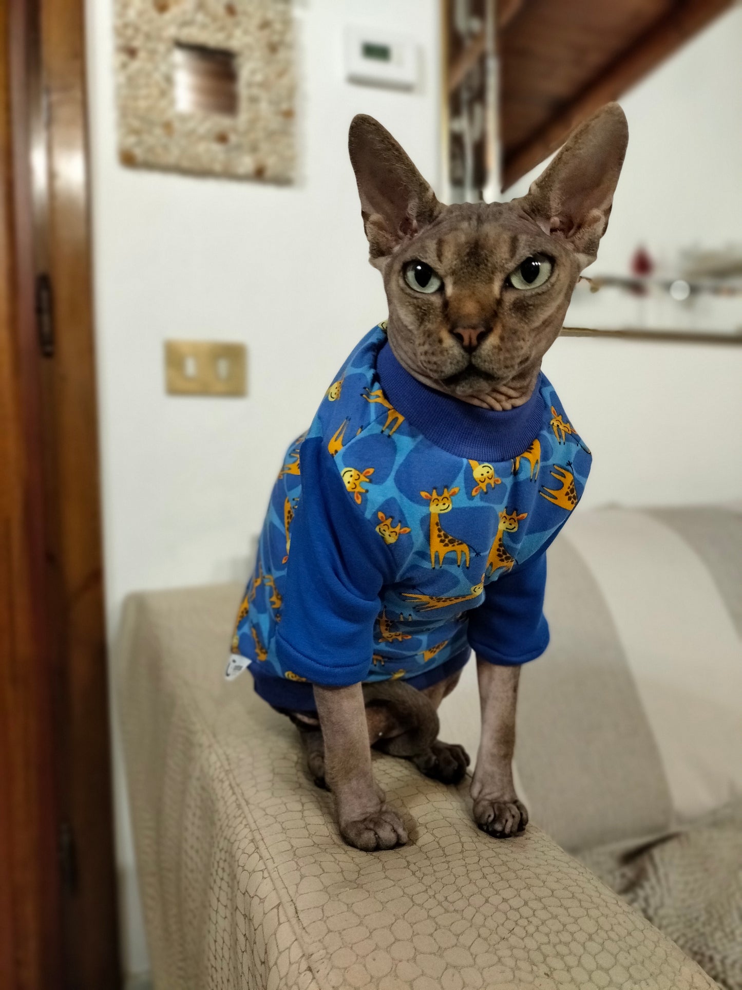JERSEY in cotone GIRAFFE (105)
