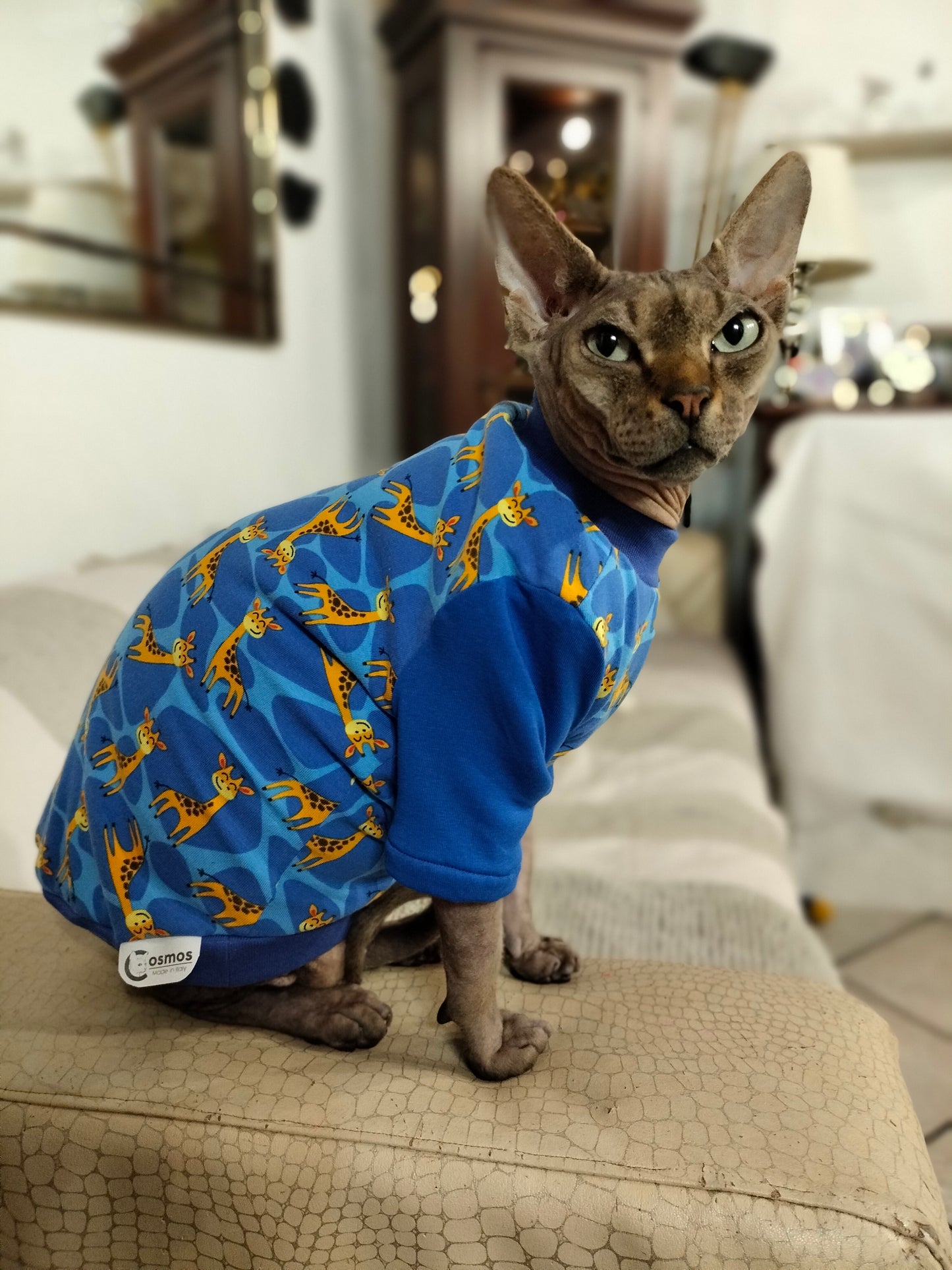 JERSEY in cotone GIRAFFE (105)
