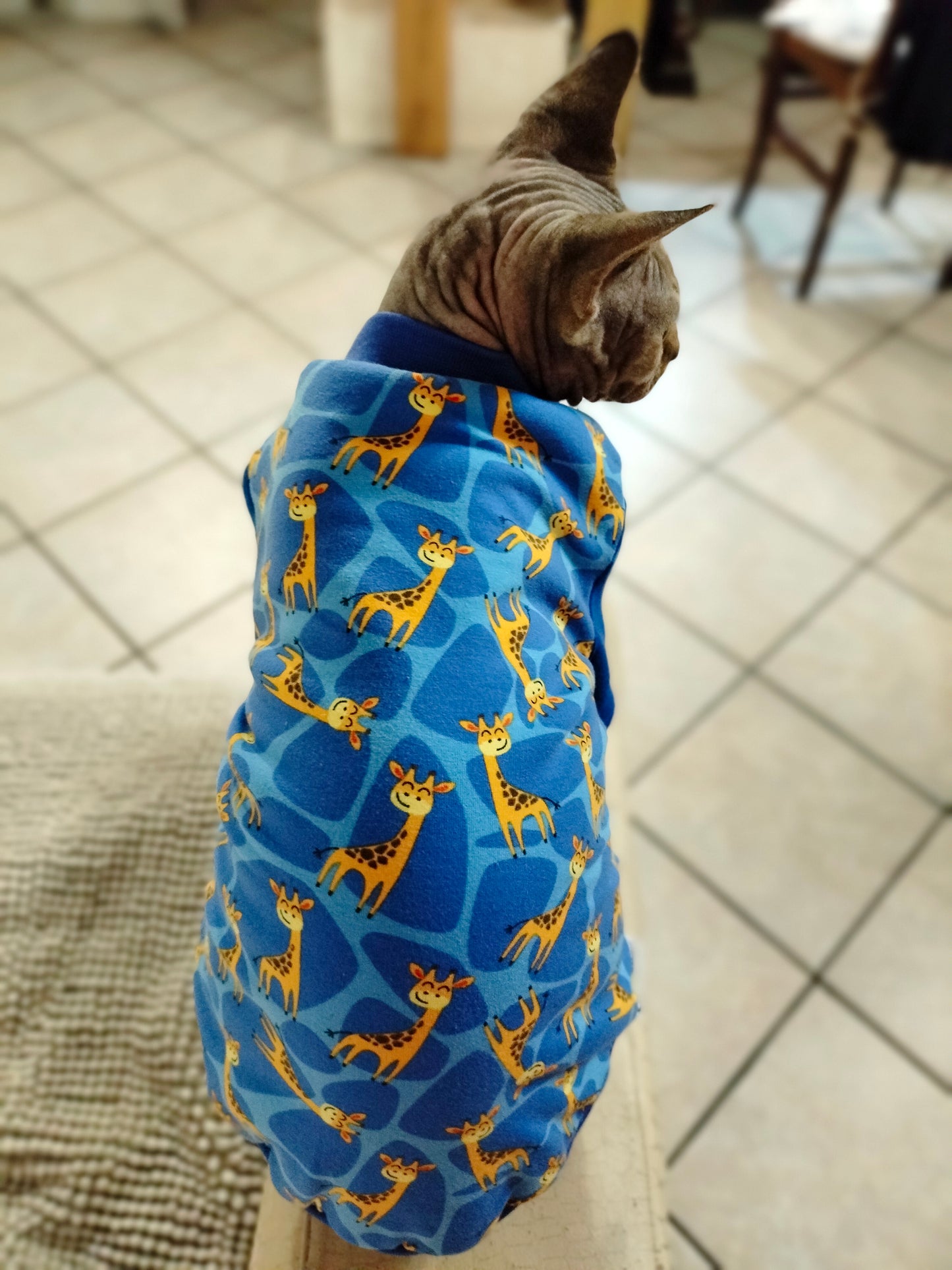 JERSEY in cotone GIRAFFE (105)