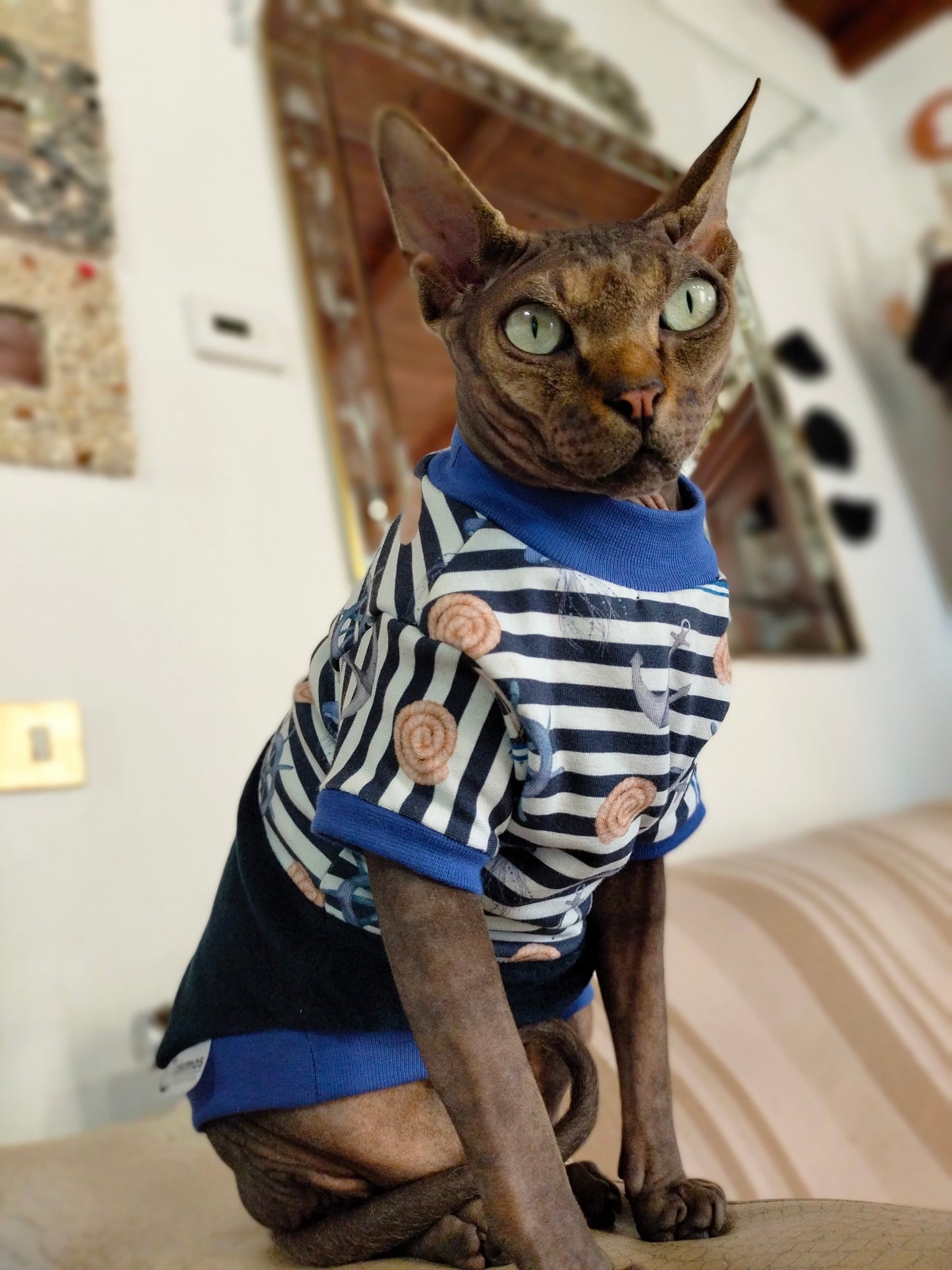 JERSEY in cotone MARINAIO (135)