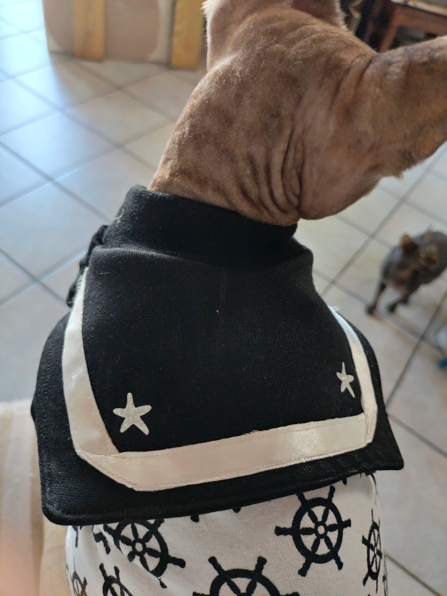 VESTITI A TEMA: JERSEY in cotone MARINARETTO