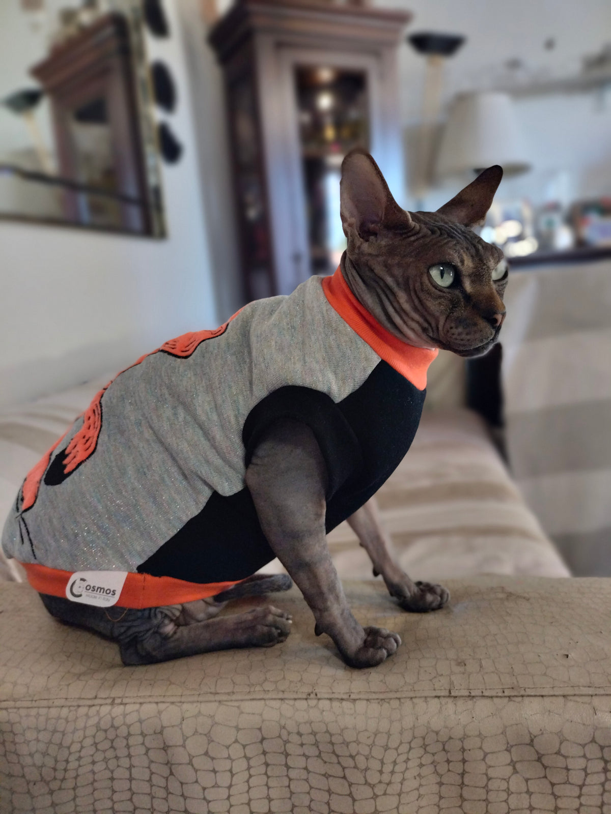 VESTITI A TEMA: PILE GARFIELD
