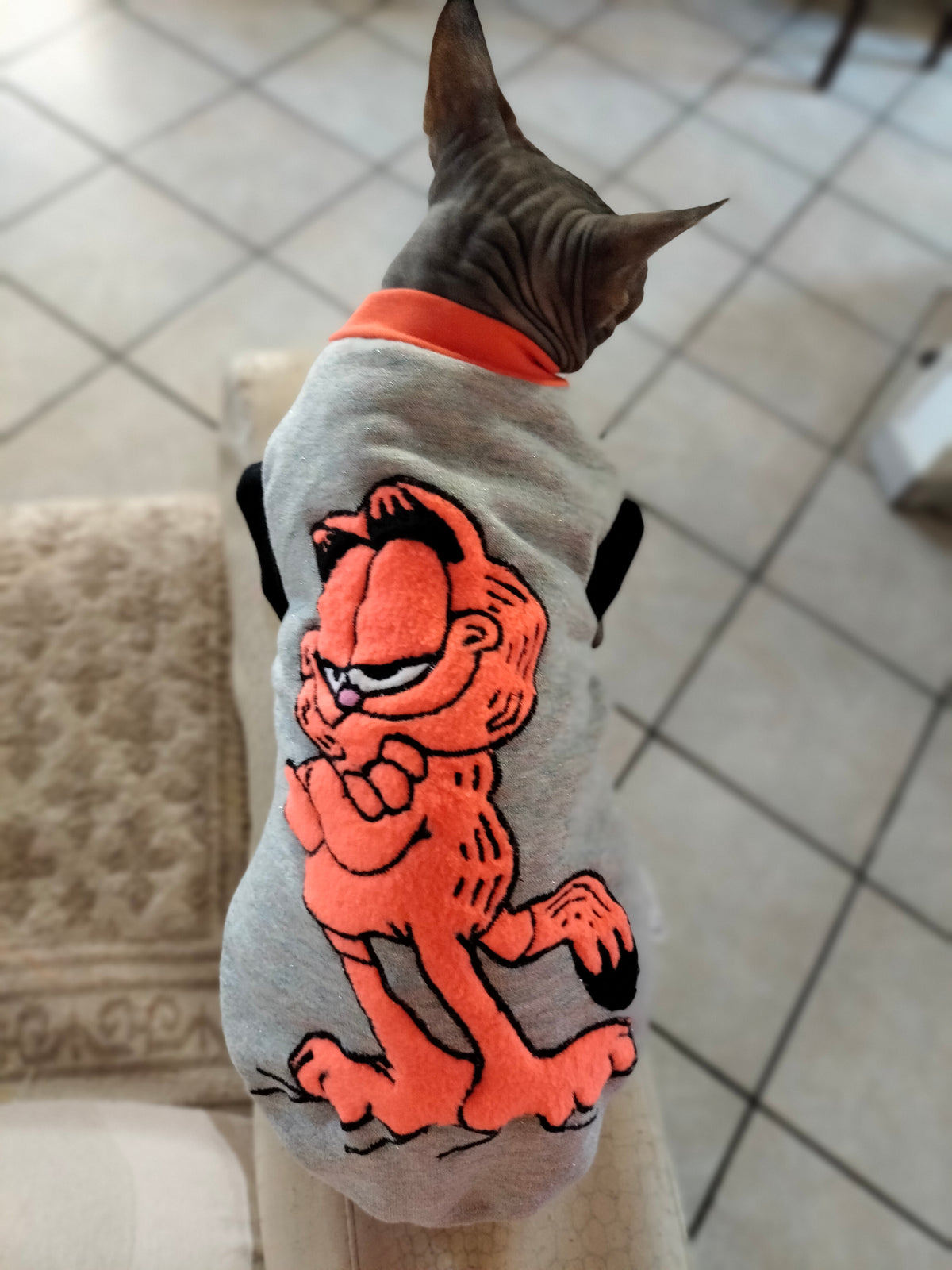 VESTITI A TEMA: PILE GARFIELD