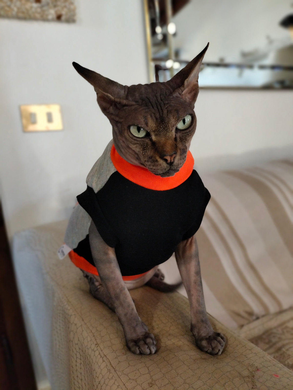 VESTITI A TEMA: PILE GARFIELD