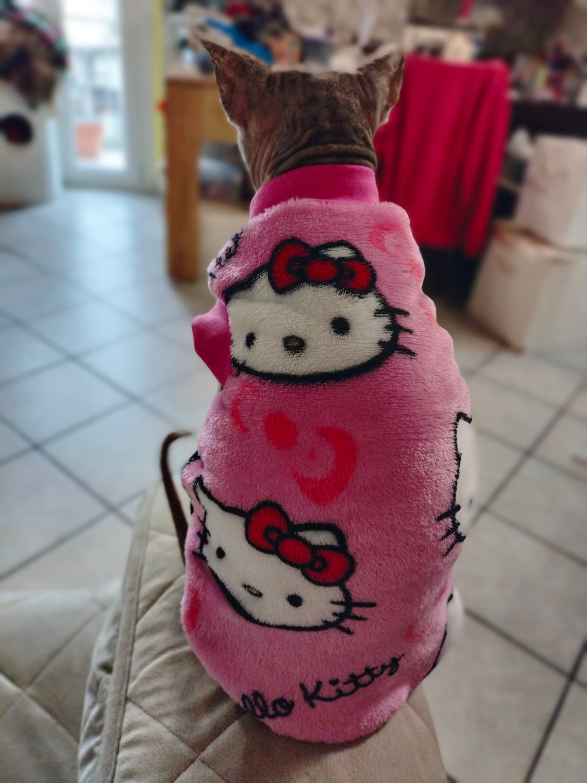 PILE CINIGLIATO HELLO KITTY (429)