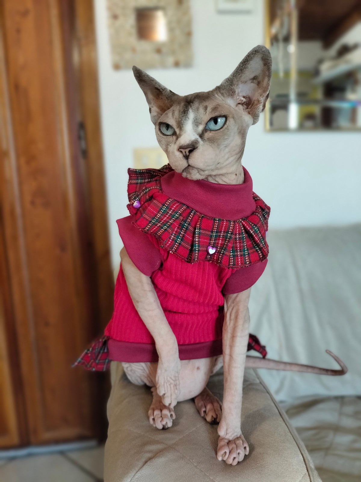 MAGLINA CON TARTAN