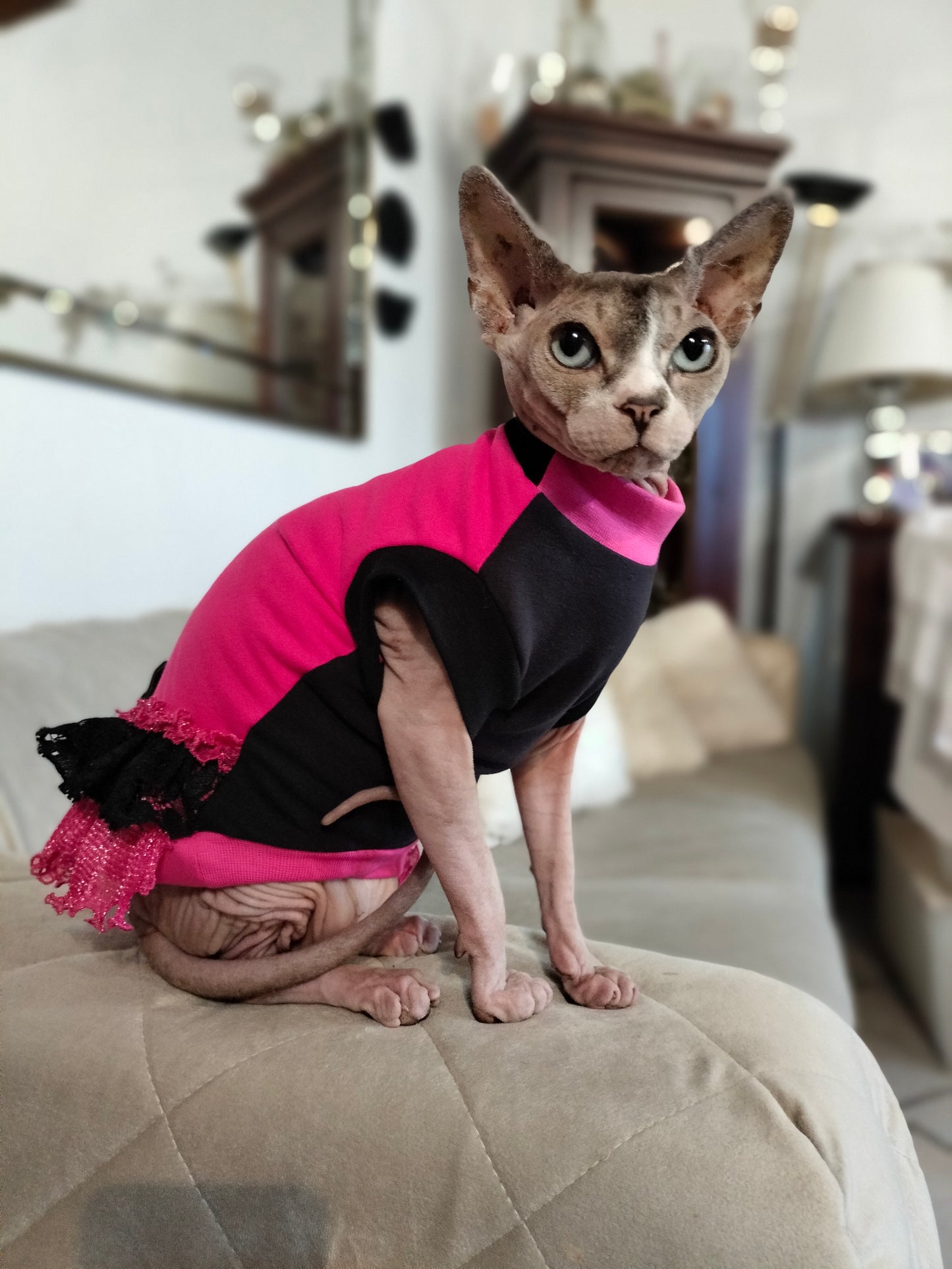 FELPINA FIOCCO E PIZZI