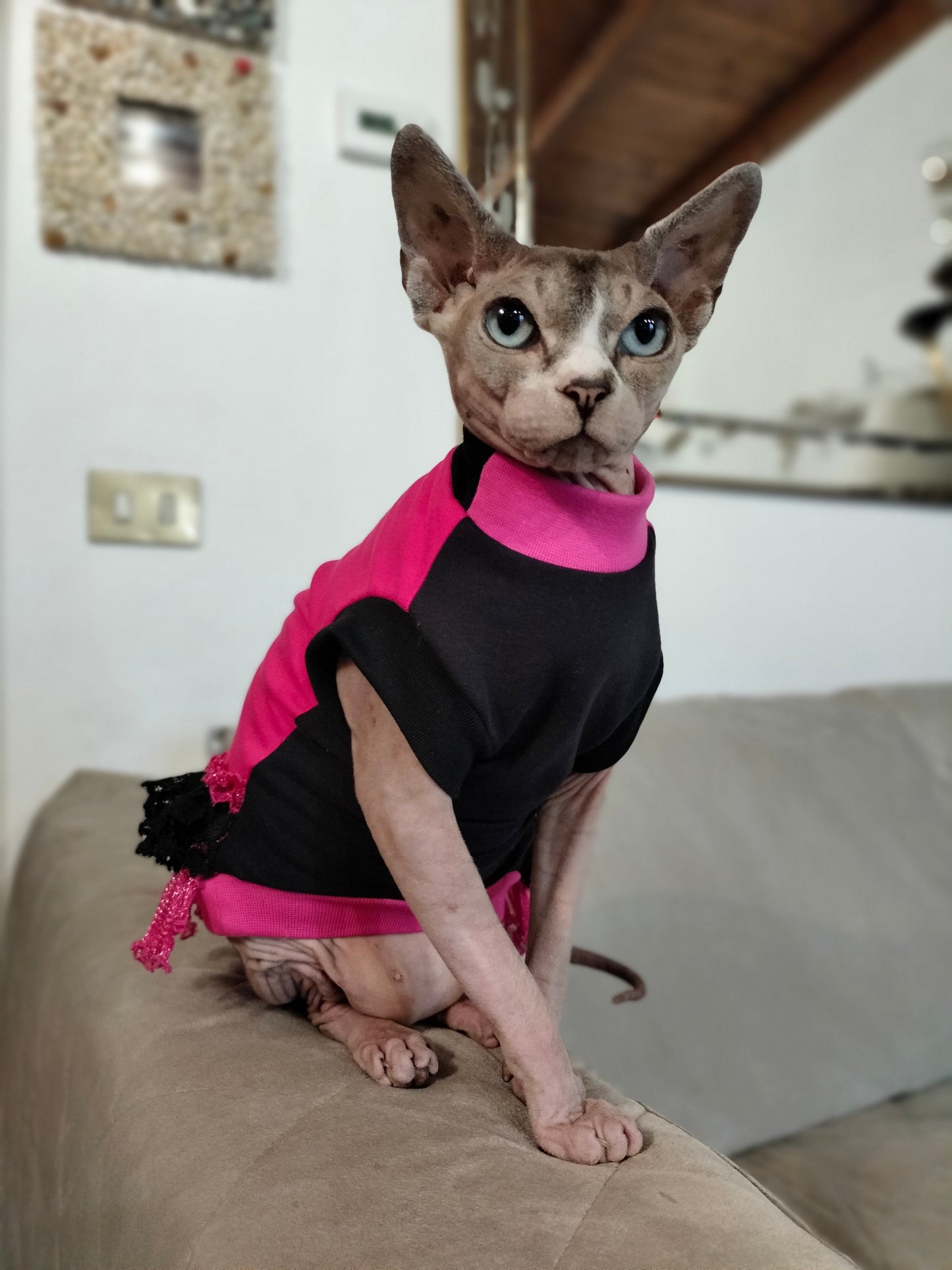 FELPINA FIOCCO E PIZZI