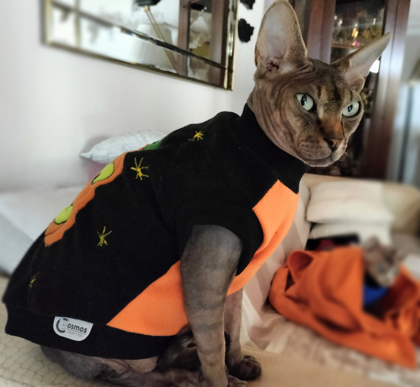 VESTITI A TEMA: PILE HALLOWEEN ZUCCA