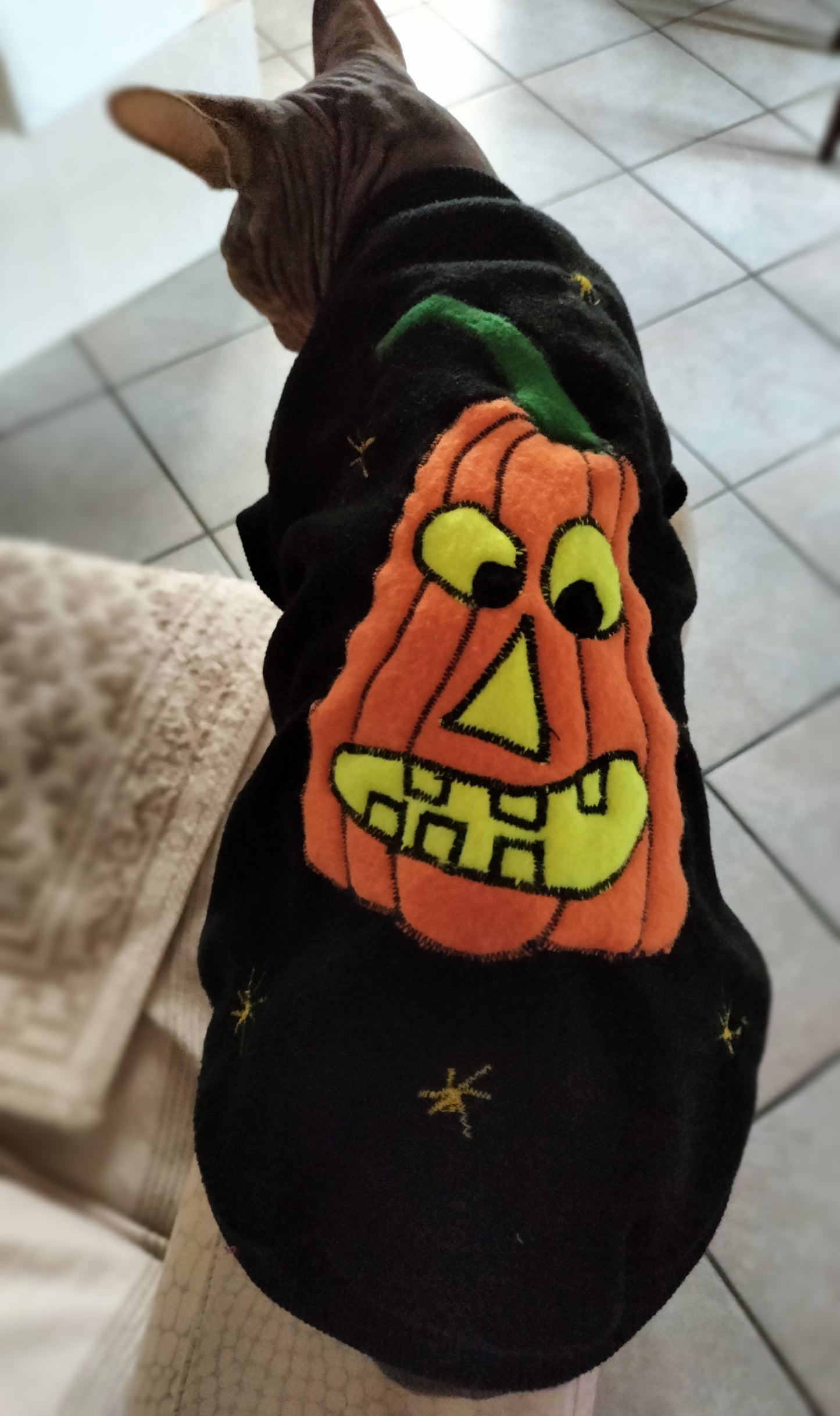 VESTITI A TEMA: PILE HALLOWEEN ZUCCA